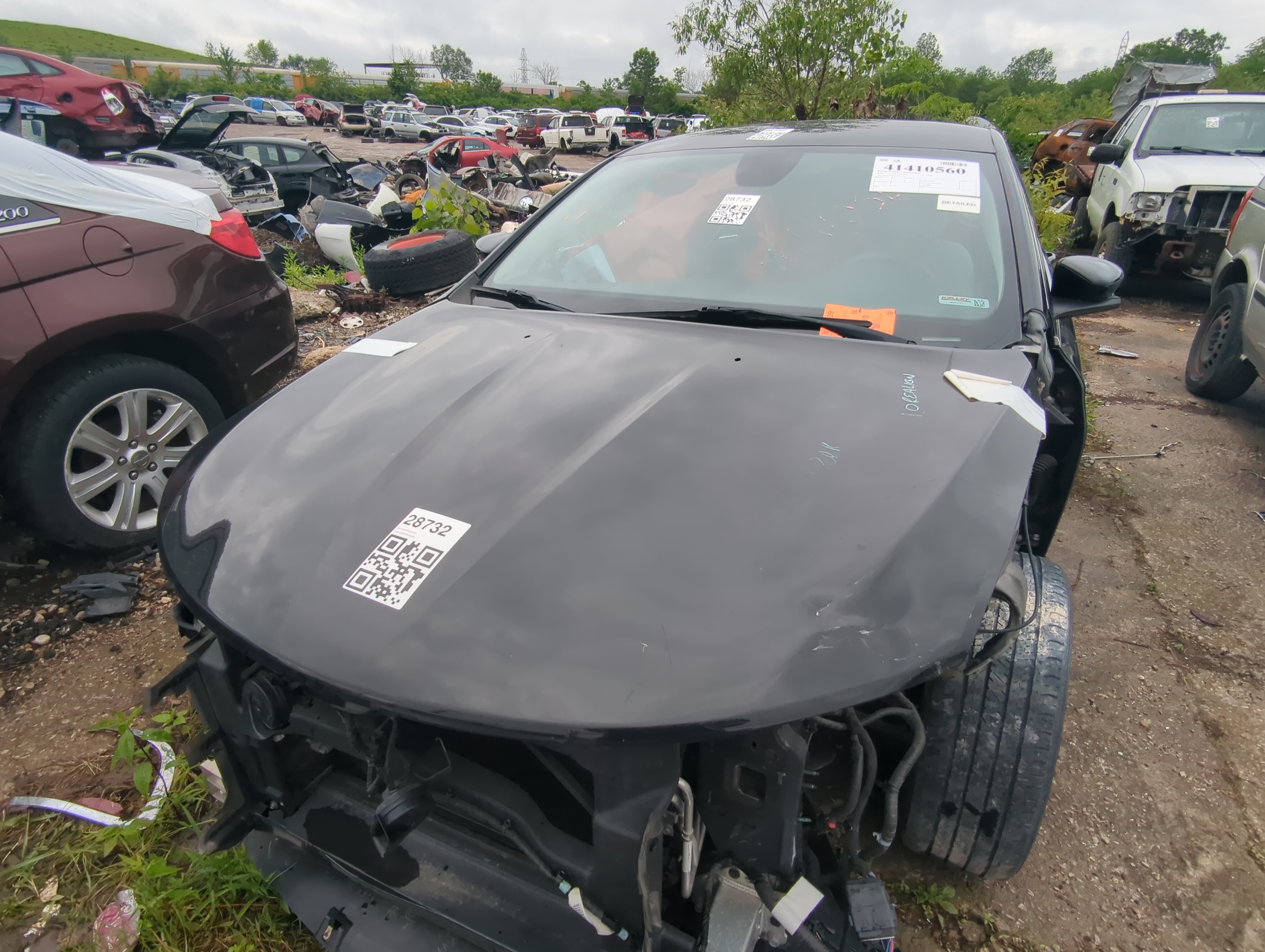 2015-2017 Chrysler 200 Hood Oem 1021223 - Oemusedautoparts1.com