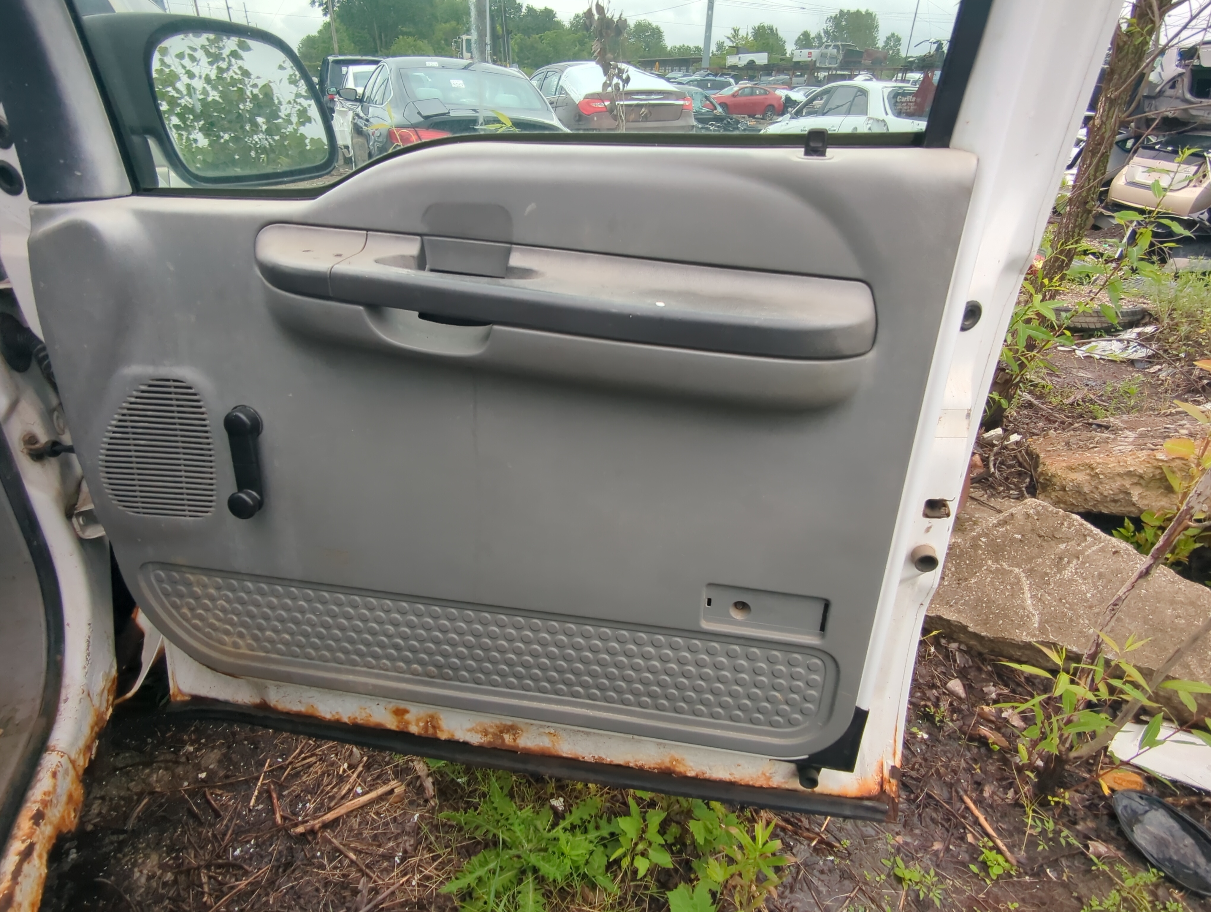 Picture of Door Panels 2004 FORD F-250 SUPER DUTY