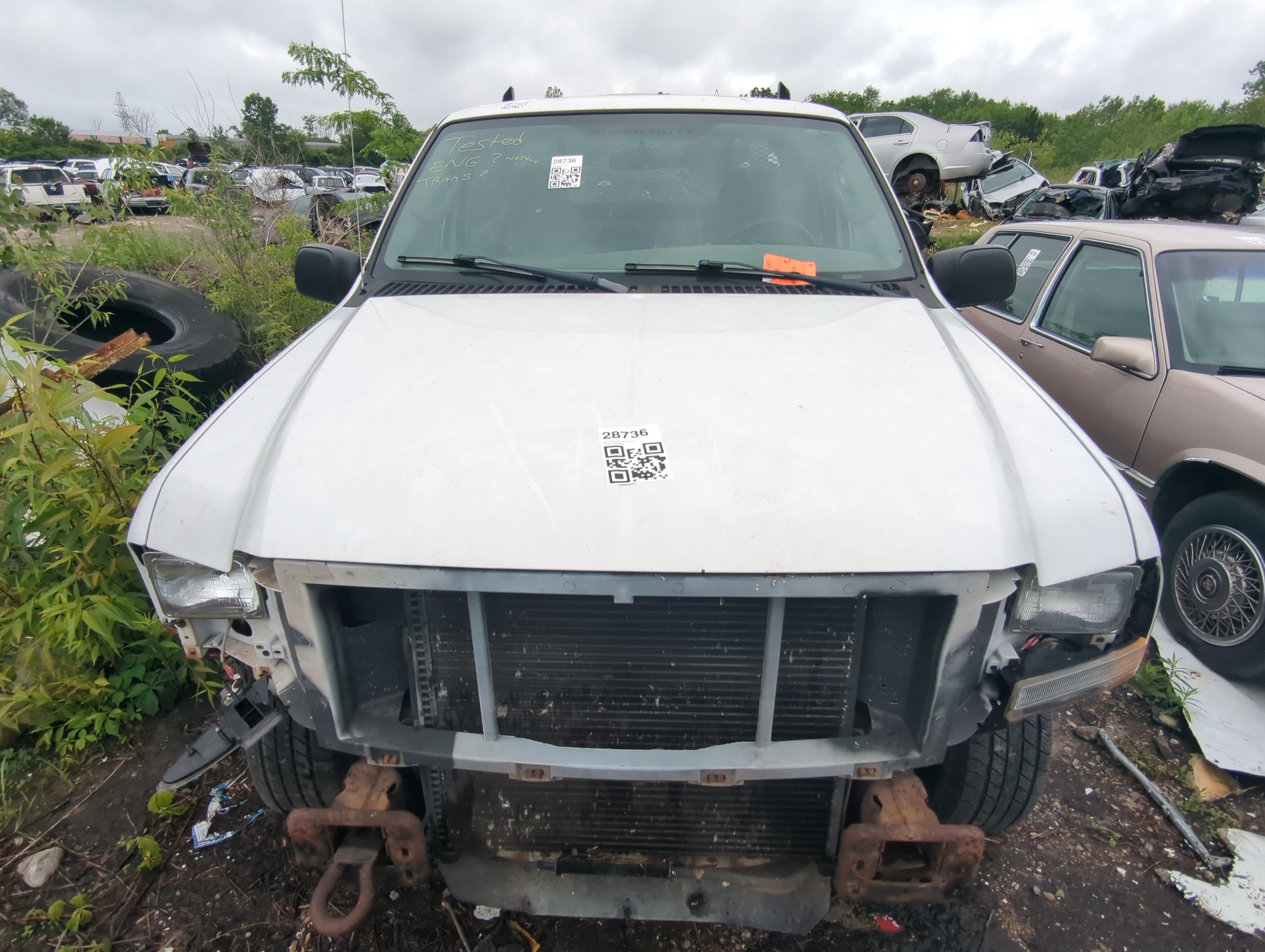 1999-2007 Ford F-250 Super Duty Hood Oem 1021886 - Oemusedautoparts1.com