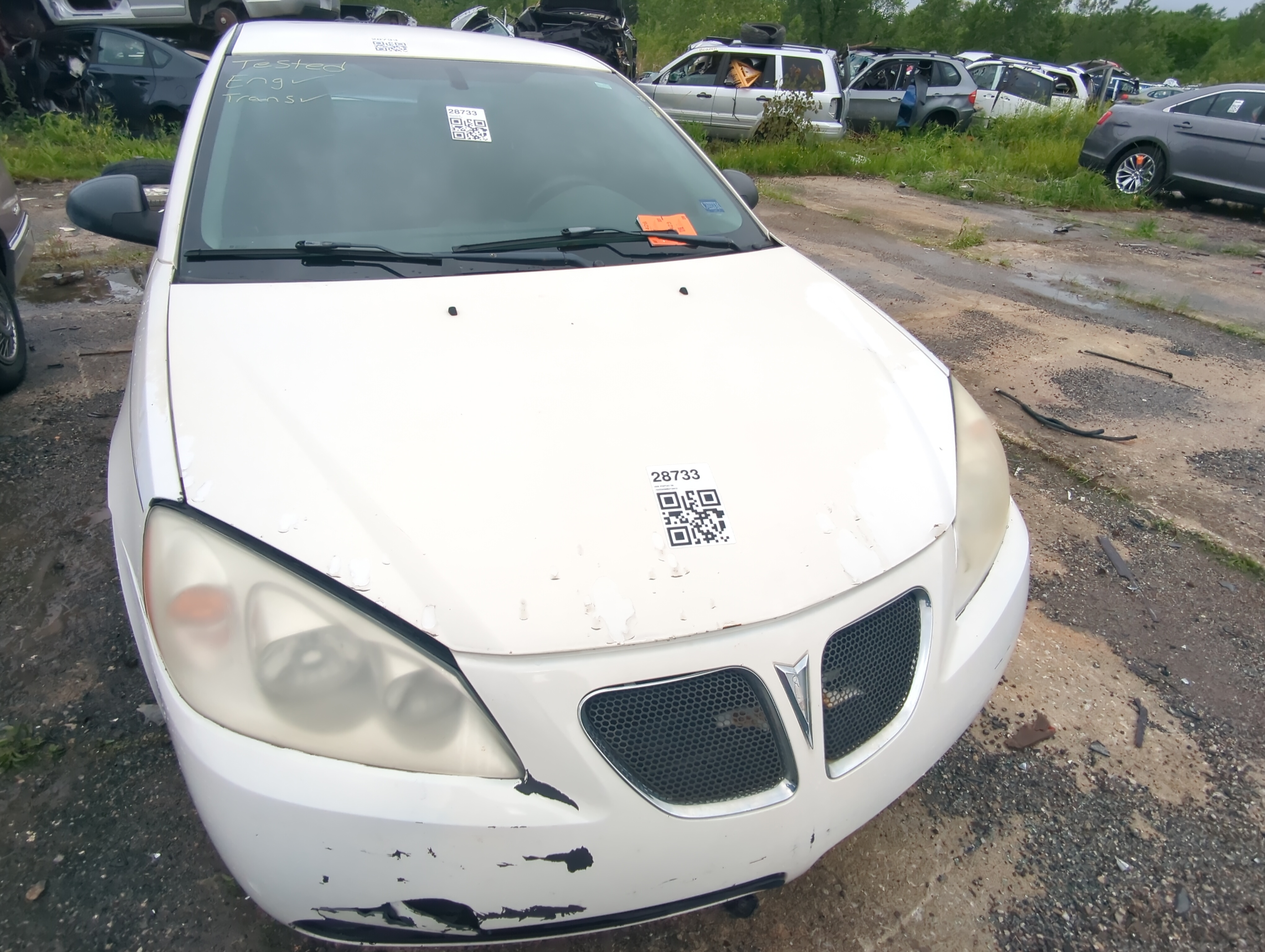 2005-2010 Pontiac G6 Hood Oem 1024568 - Oemusedautoparts1.com