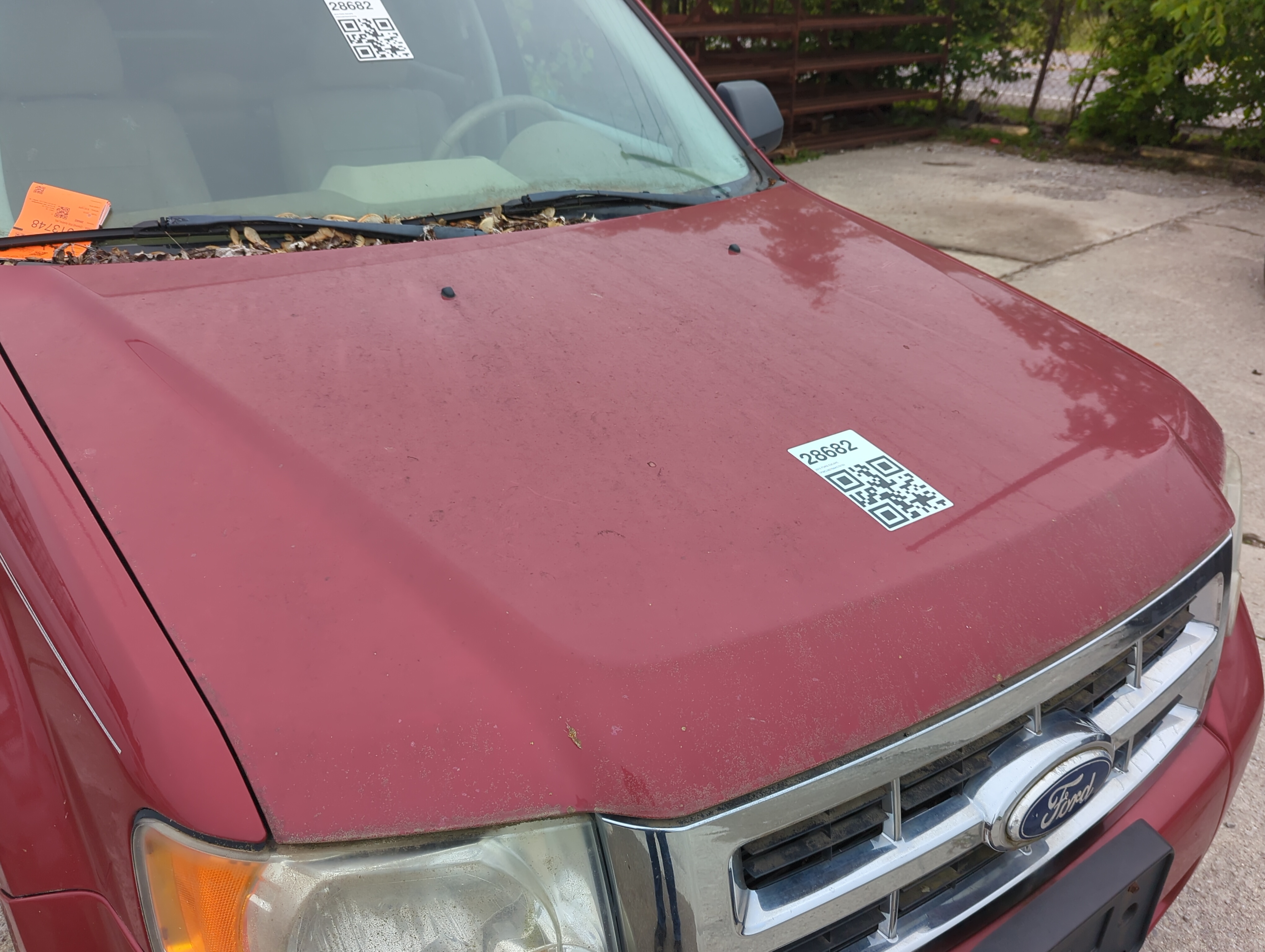 2008-2012 Ford Escape Hood Oem 1034785 - Oemusedautoparts1.com