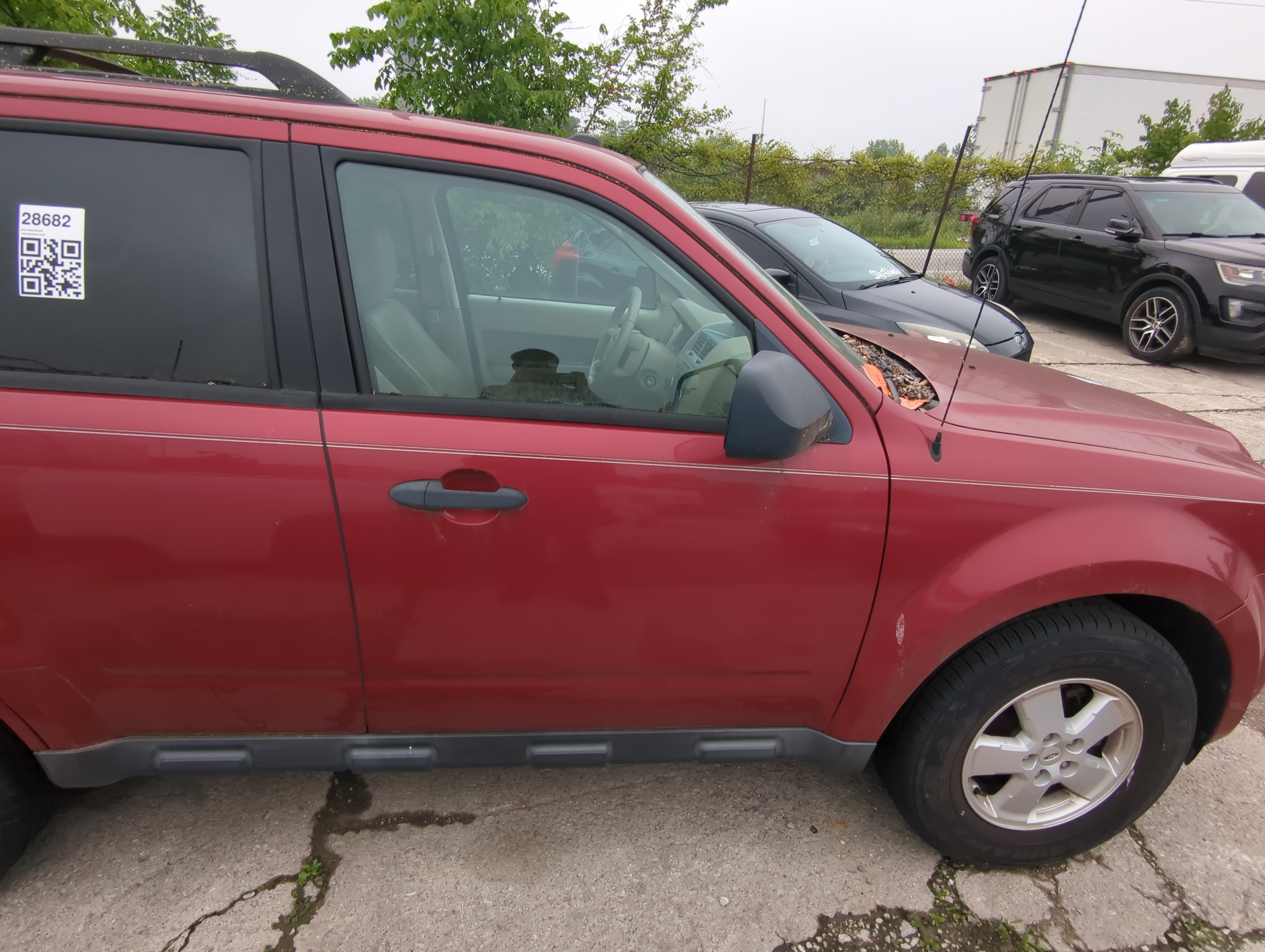 Picture of 2009-2012 Ford Escape Passenger Front Door Oem 1034802