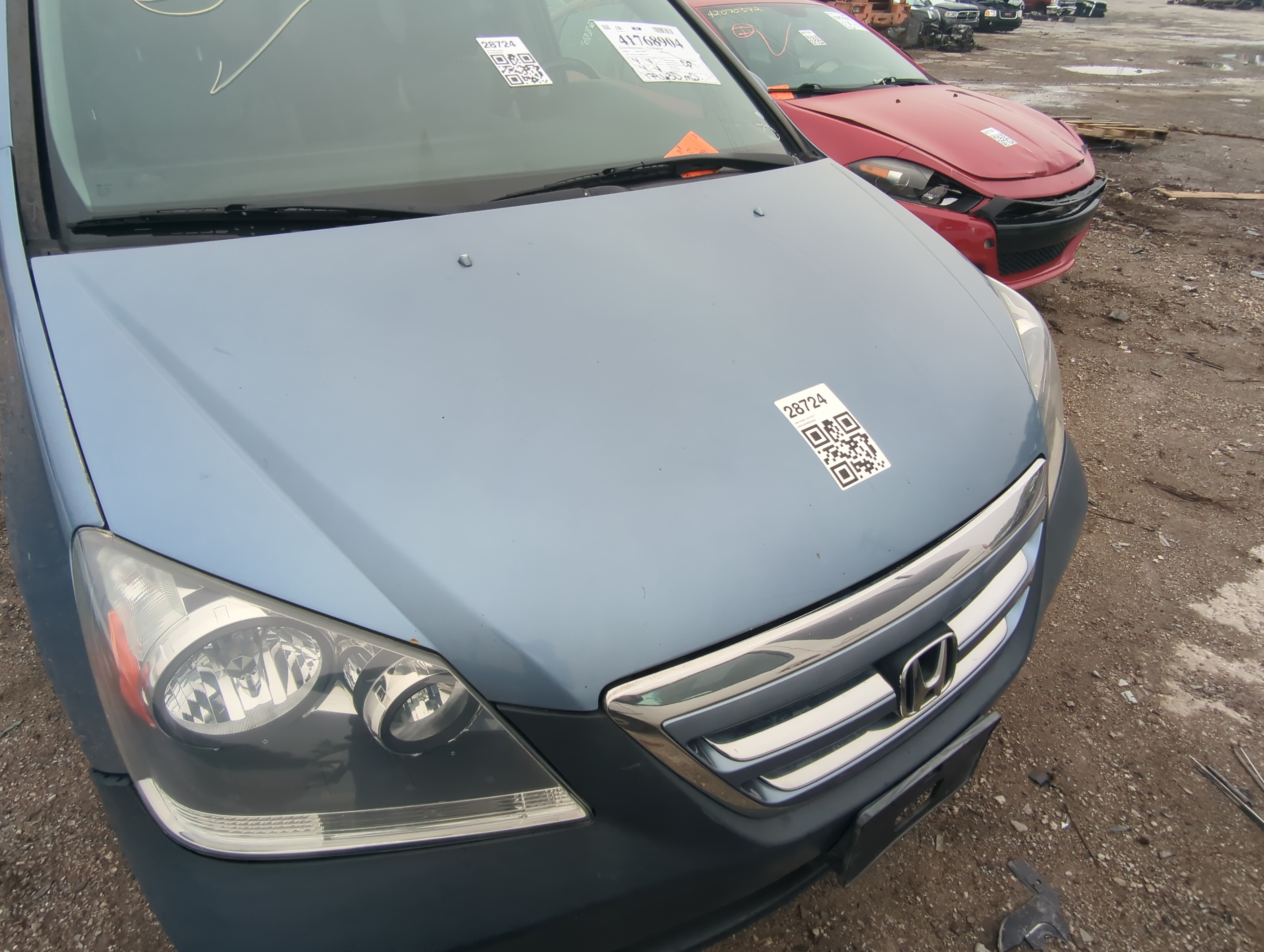 2005-2007 Honda Odyssey Hood Oem 1046622 - Oemusedautoparts1.com