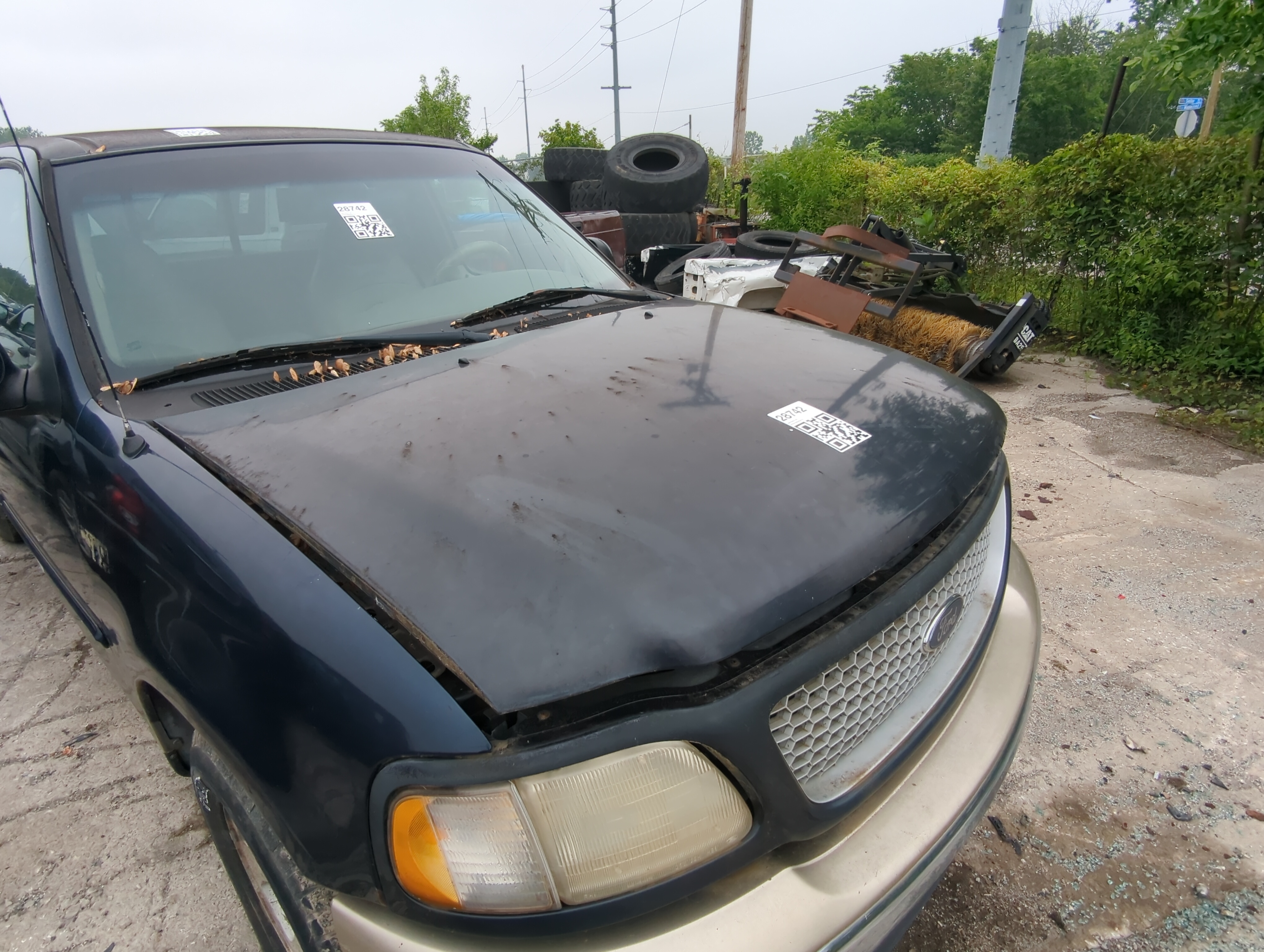 1999-2003 Ford F-150 Hood Oem 1047088 - Oemusedautoparts1.com