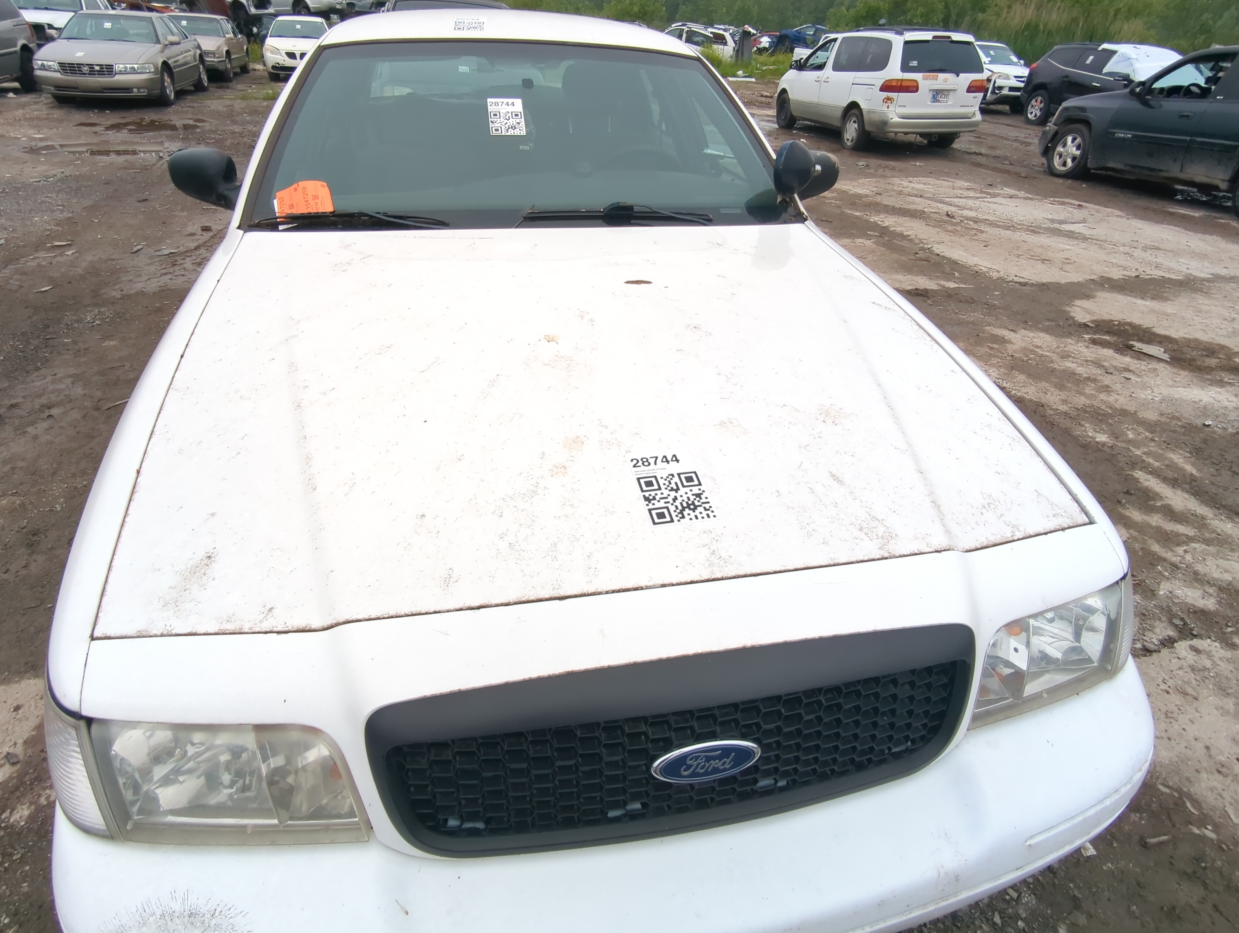 1998-2011 Ford Crown Victoria Hood Oem 1047666 - Oemusedautoparts1.com