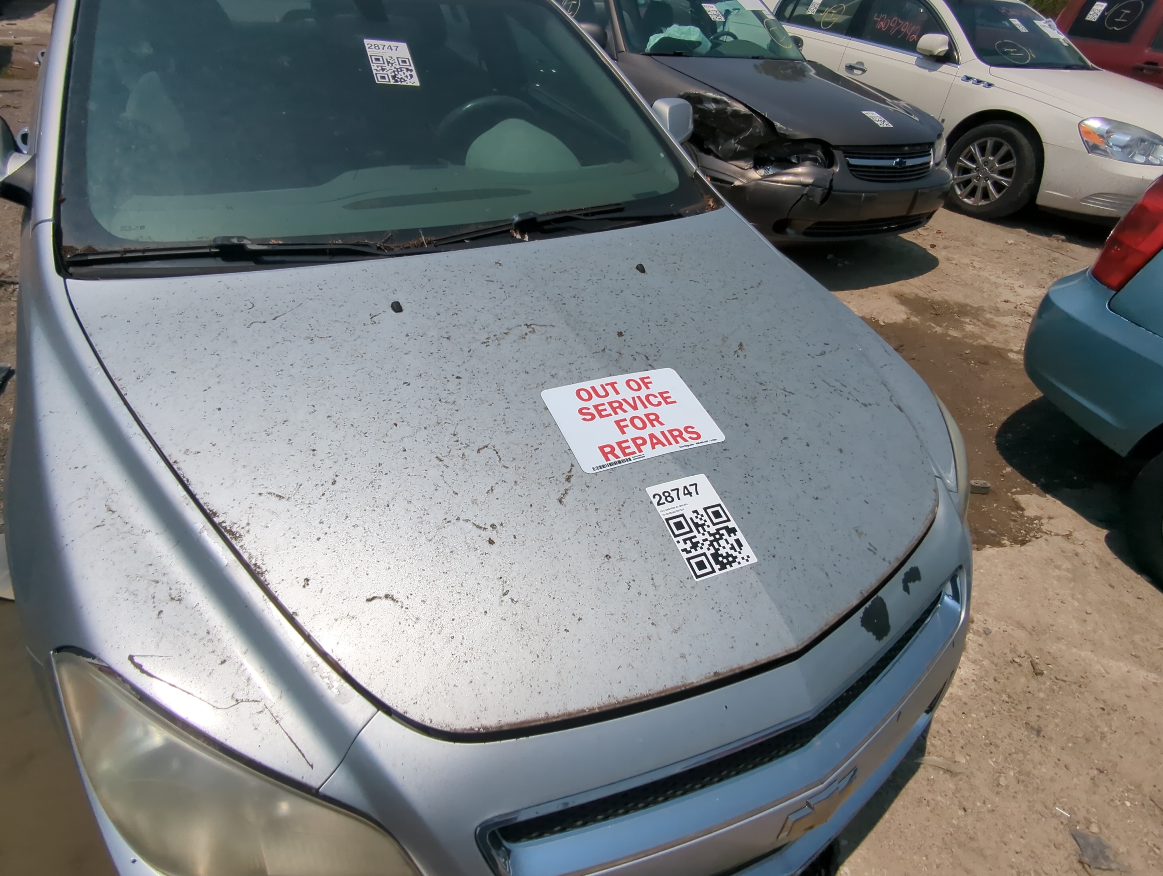 Picture of 2008-2012 Chevrolet Malibu Hood Oem 1050236