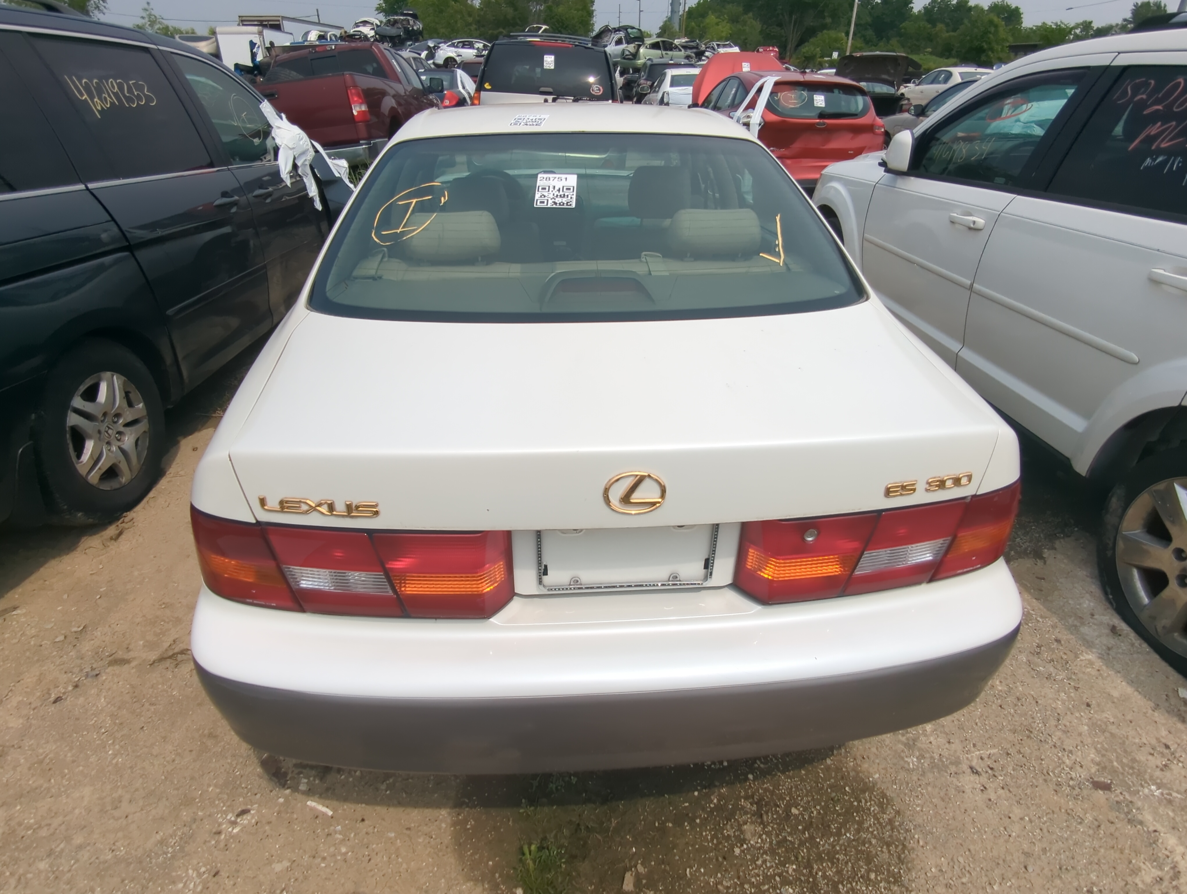 1997-1999 Lexus Es300 Trunk/decklid/hatch/tailgate Oem 1053918 - Oemusedautoparts1.com