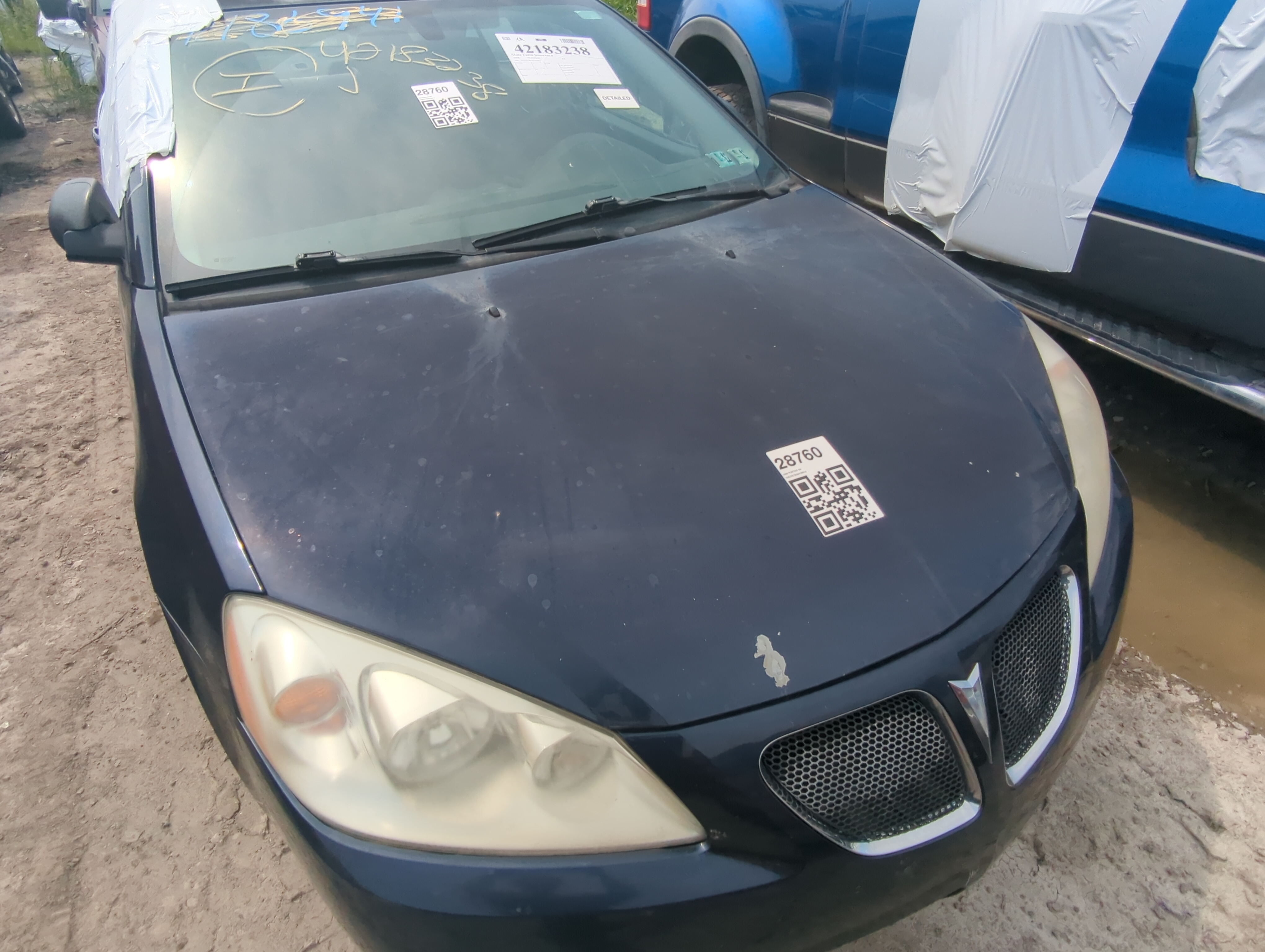 2005-2010 Pontiac G6 Hood Oem 1054486 - Oemusedautoparts1.com