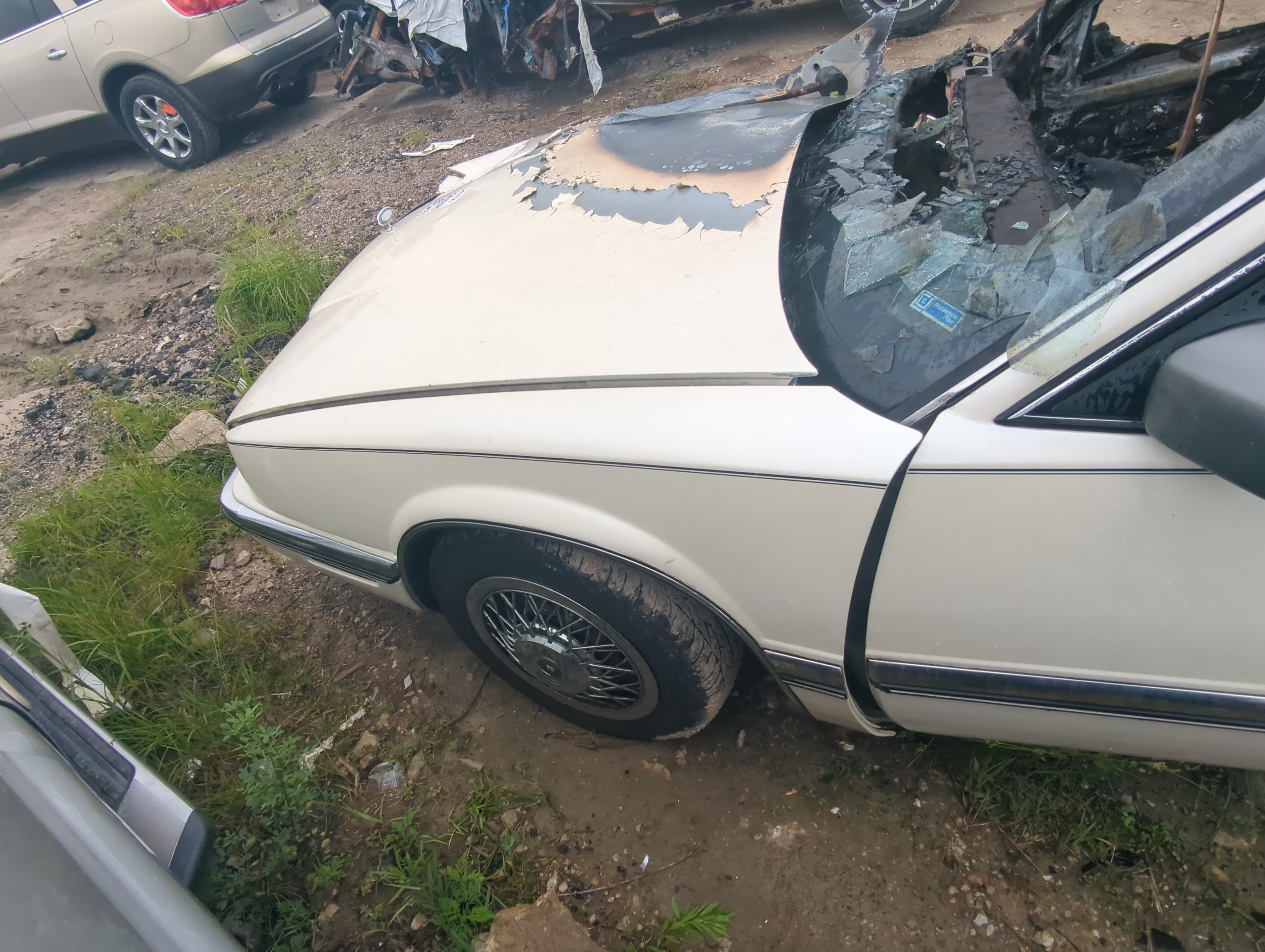 Picture of 1990 Buick Riviera Driver Fender 1056661