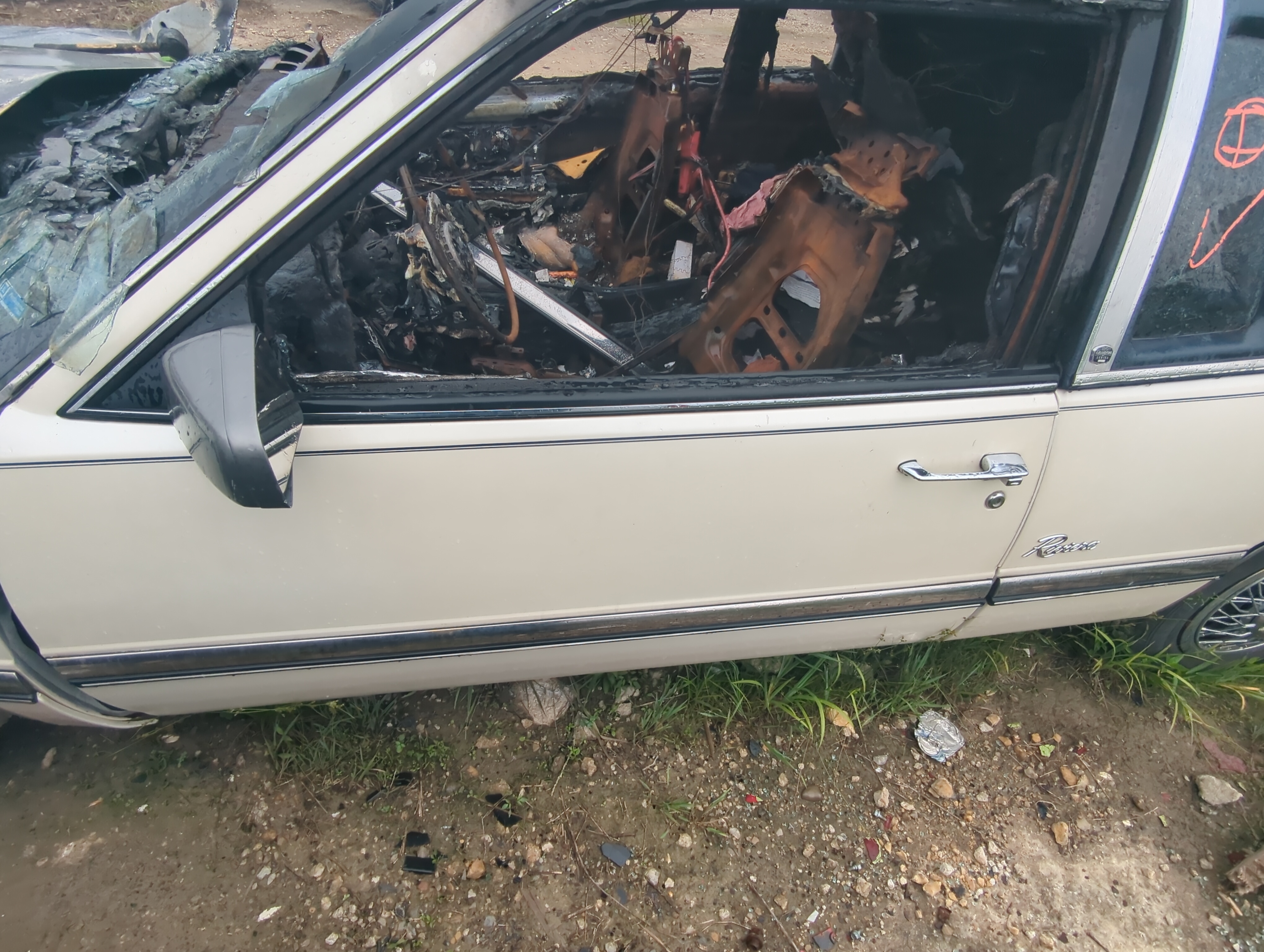 Picture of 1990 Buick Riviera Driver Front Door Oem 1056662