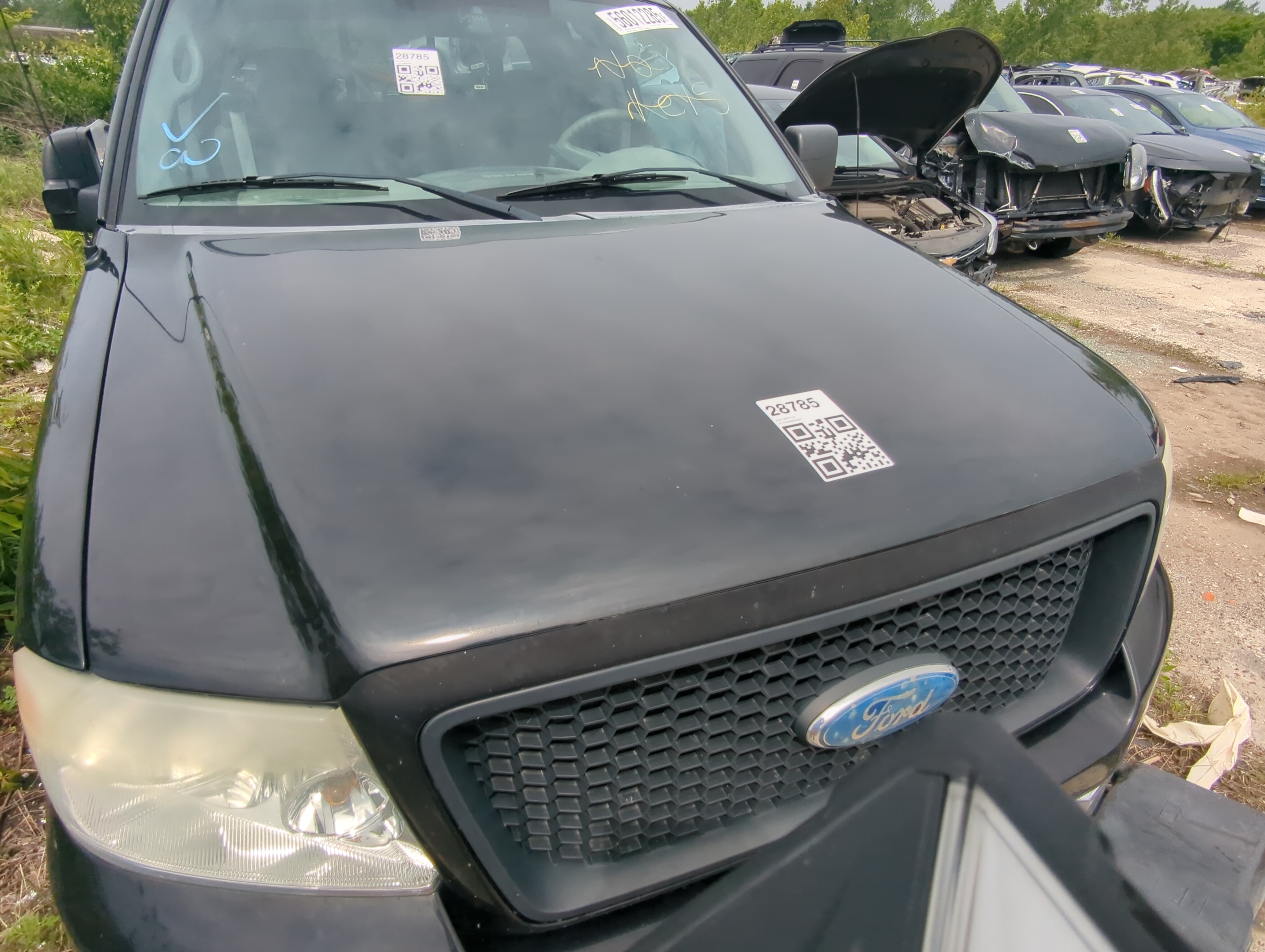 2004-2008 Ford F-150 Hood Oem 1059076 - Oemusedautoparts1.com
