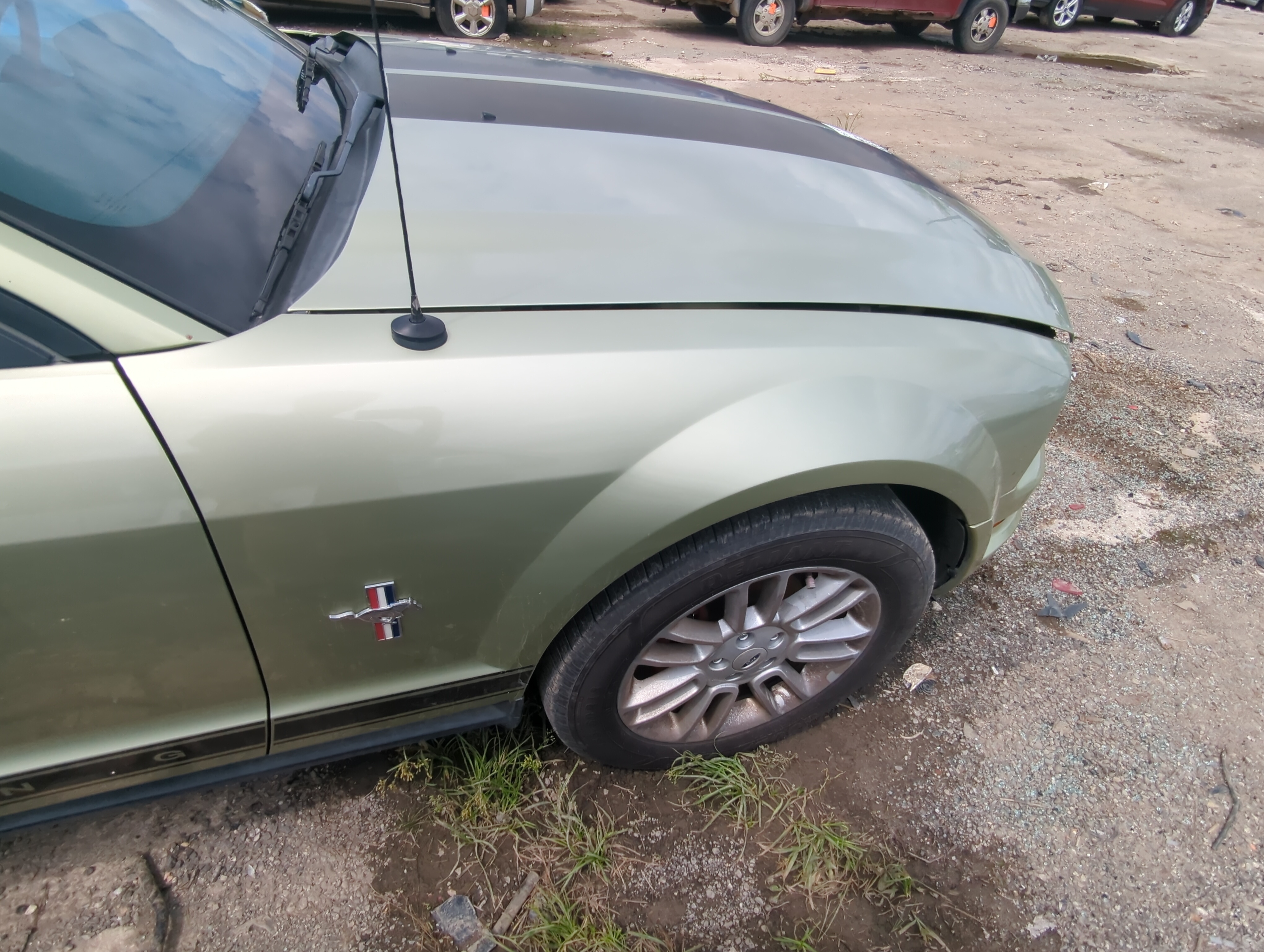 Picture of 2005-2009 Ford Mustang Passenger Fender 1060257