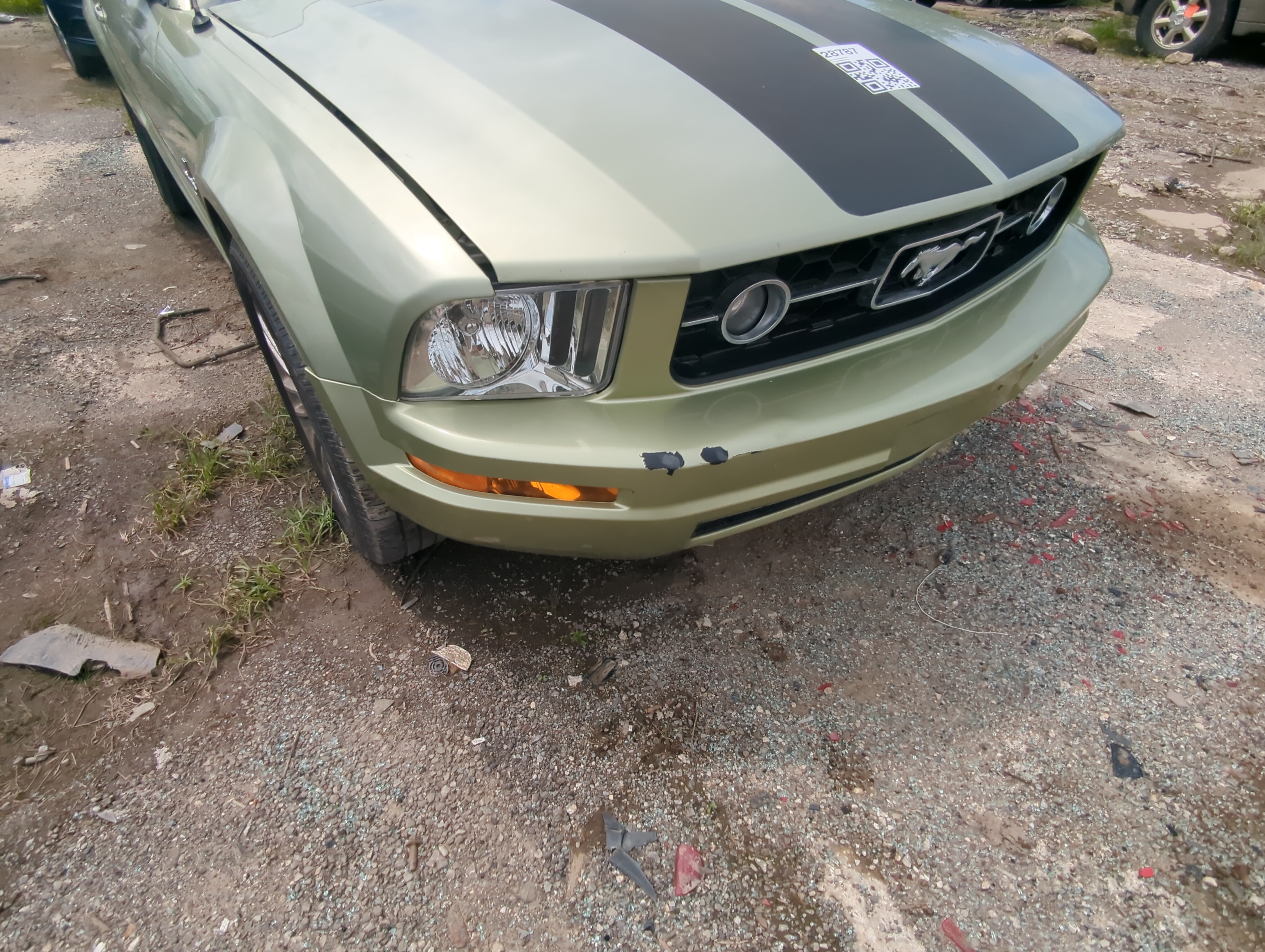 2006-2009 Ford Mustang Front Bumper - Oem 1060282 - Oemusedautoparts1.com
