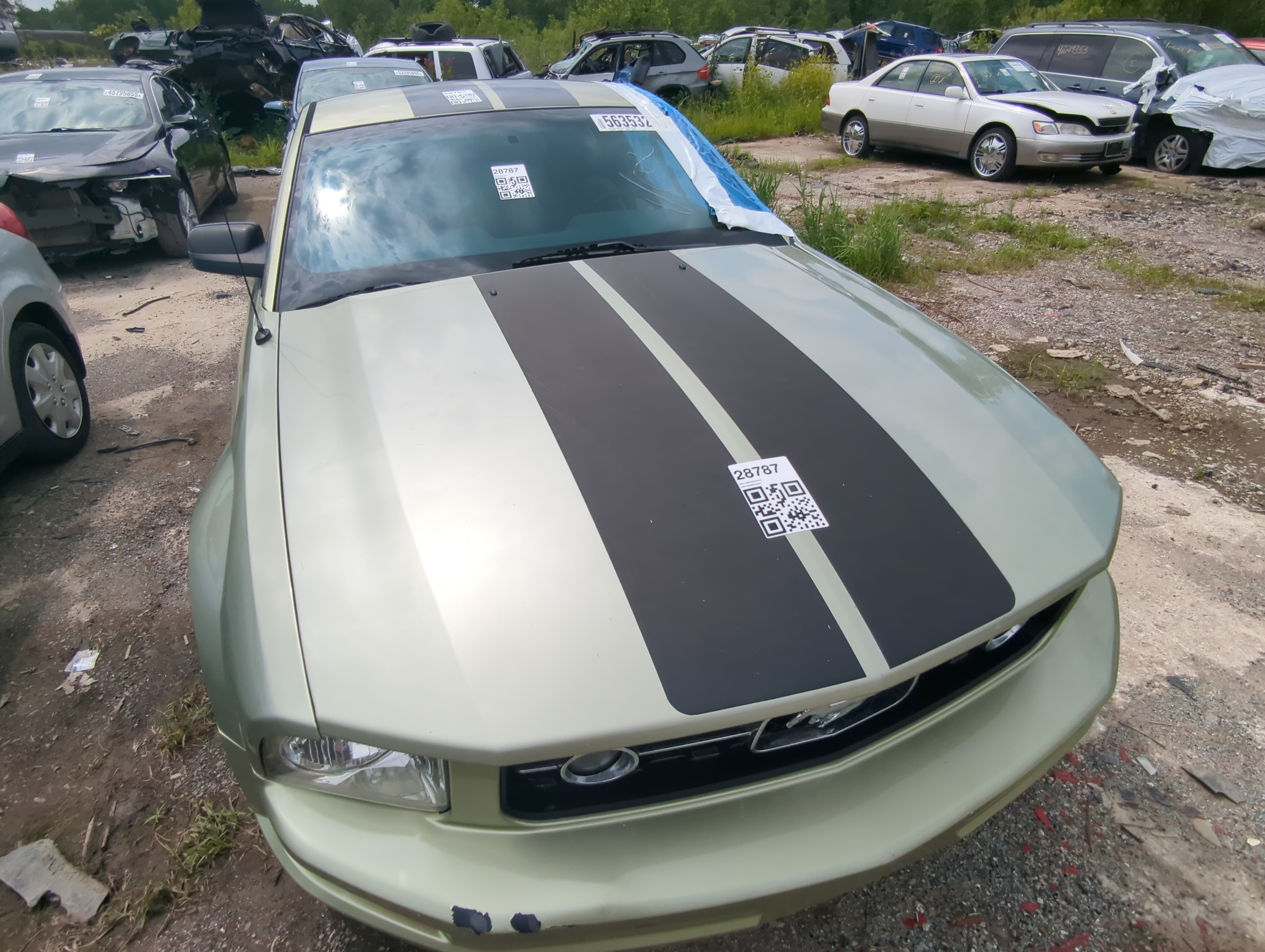 2005-2009 Ford Mustang Hood Oem 1060366 - Oemusedautoparts1.com