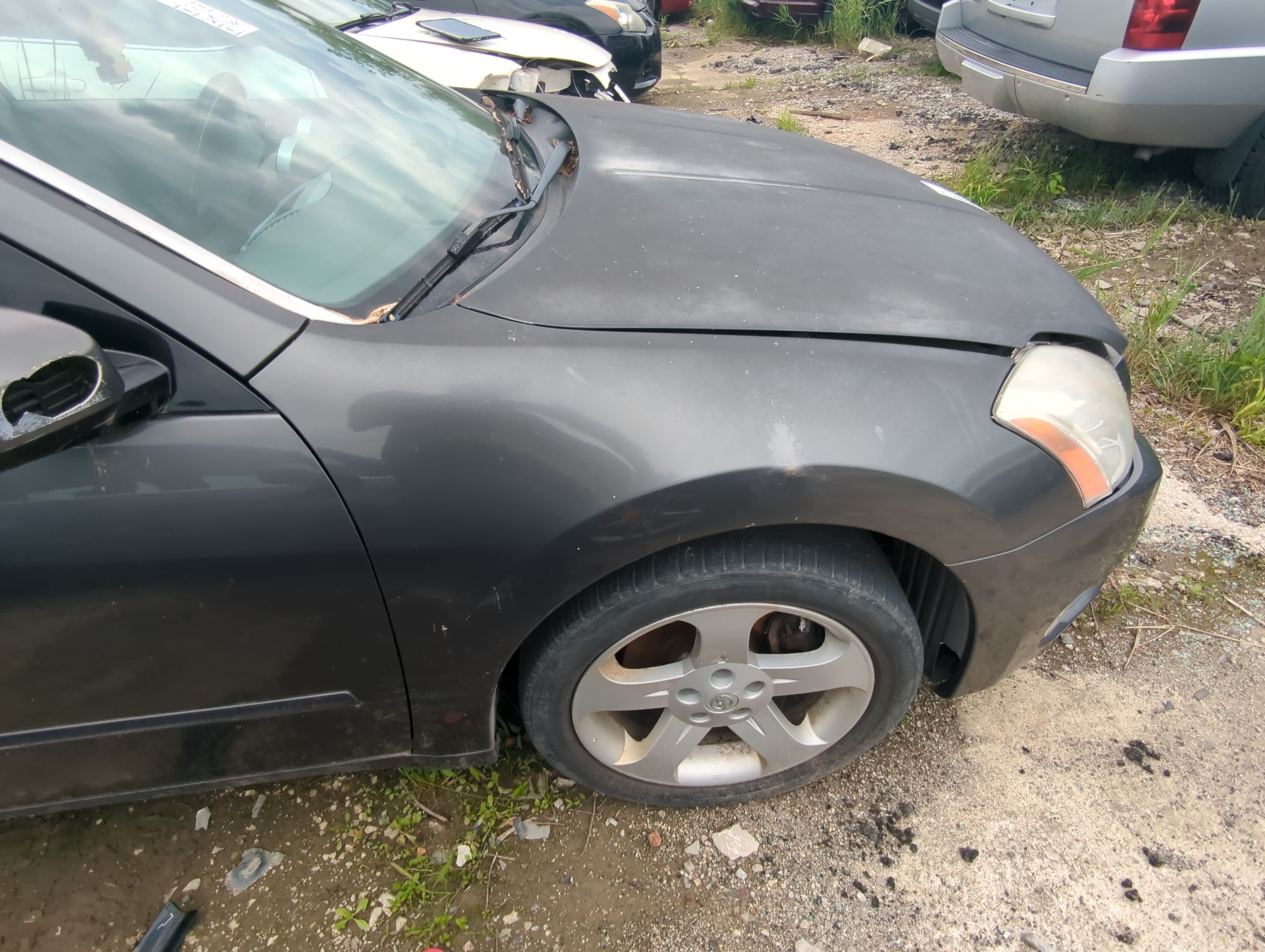 Picture of 2004-2008 Nissan Maxima Passenger Fender 1068159