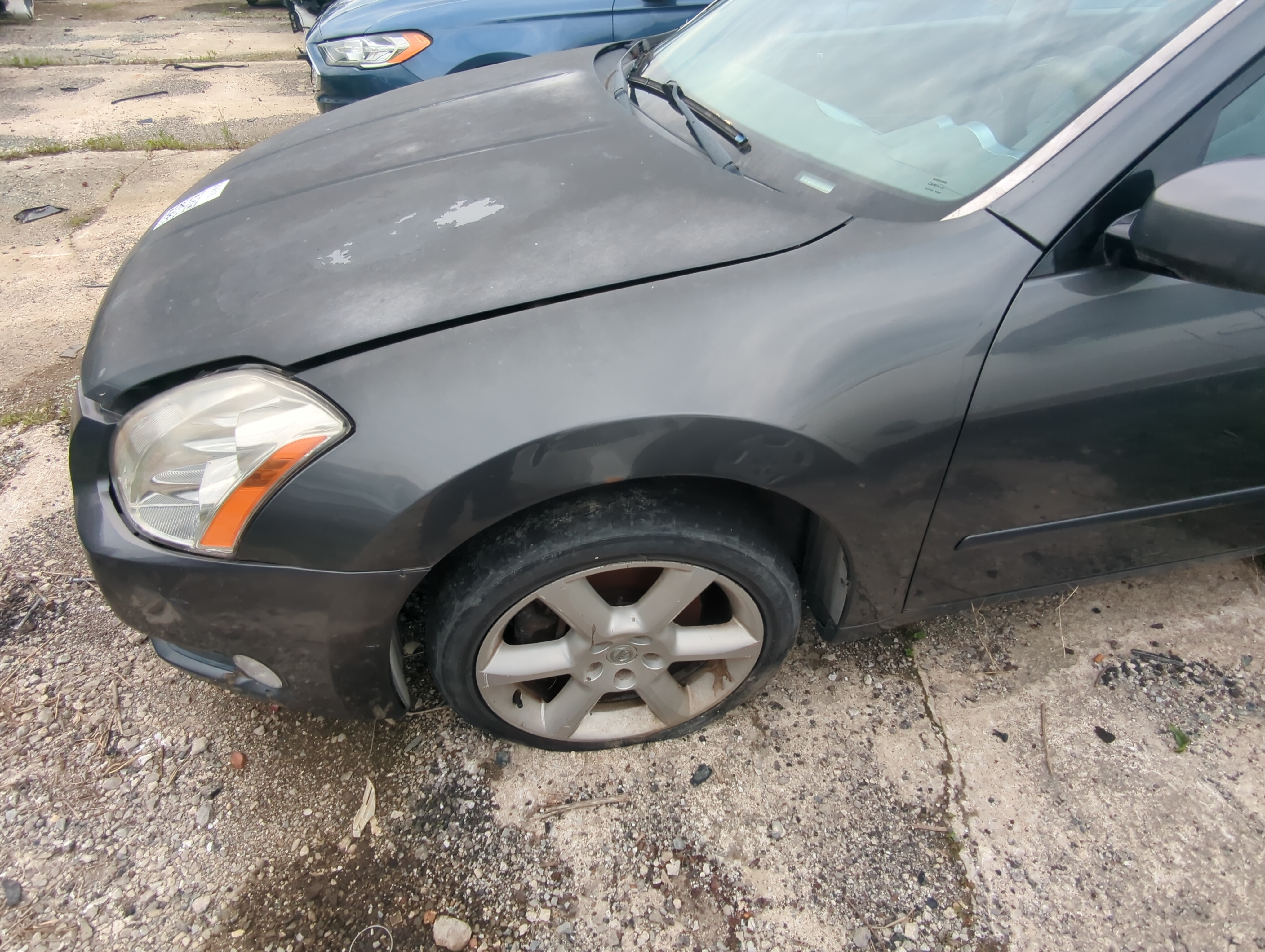 Picture of 2004-2008 Nissan Maxima Driver Fender 1068212