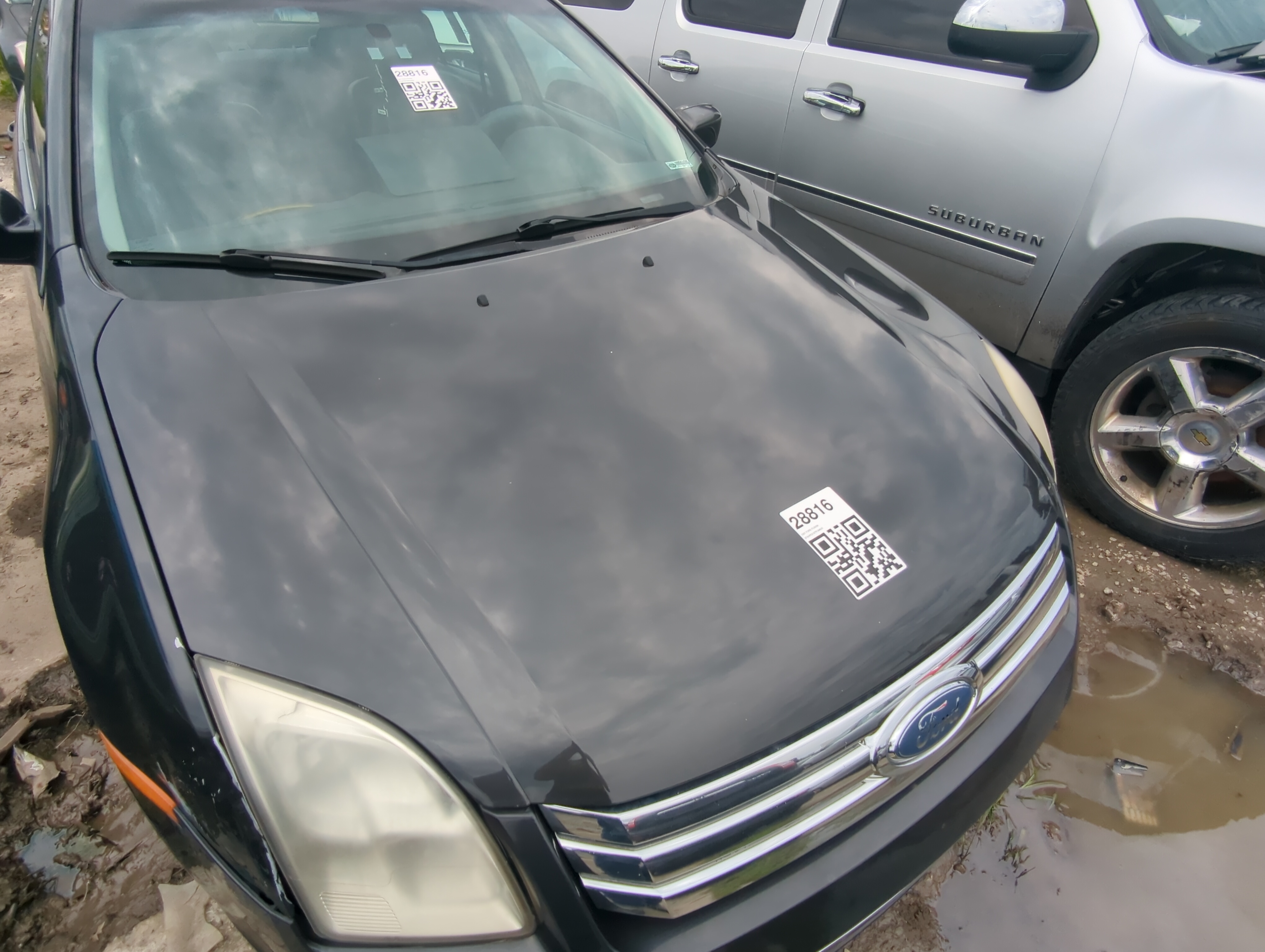 2006-2009 Ford Fusion Hood Oem 1068429 - Oemusedautoparts1.com