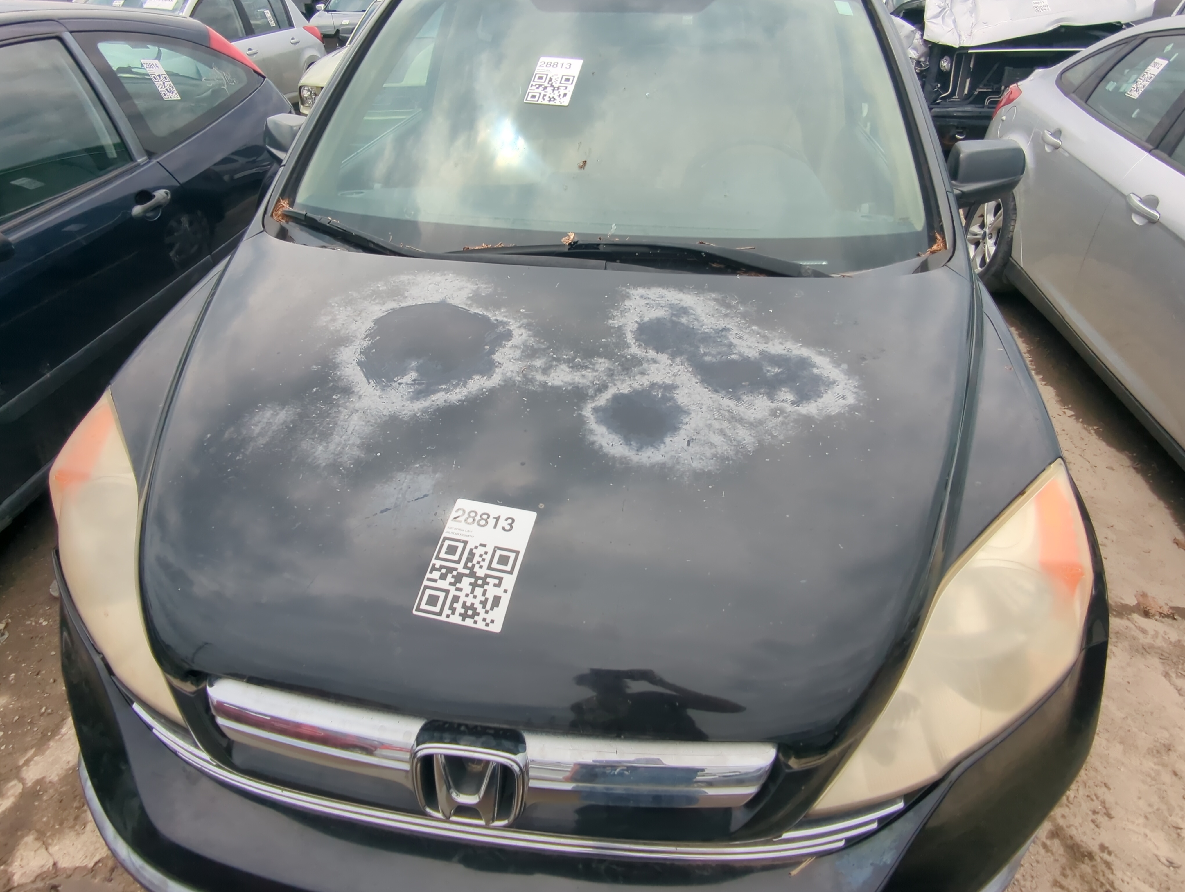 2007-2009 Honda Cr-v Hood Oem 1068903 - Oemusedautoparts1.com