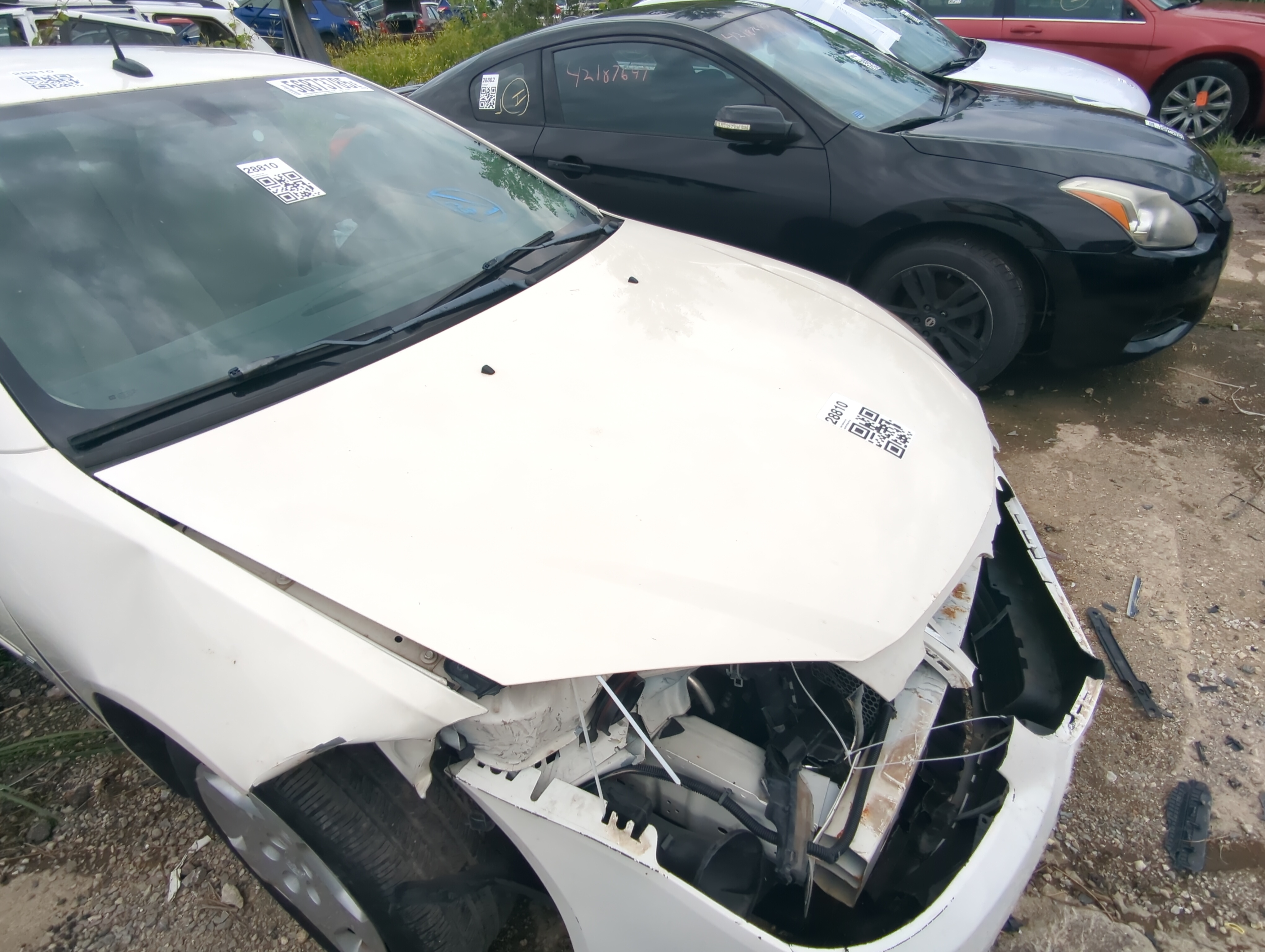 2005-2010 Pontiac G6 Hood Oem 1069708 - Oemusedautoparts1.com