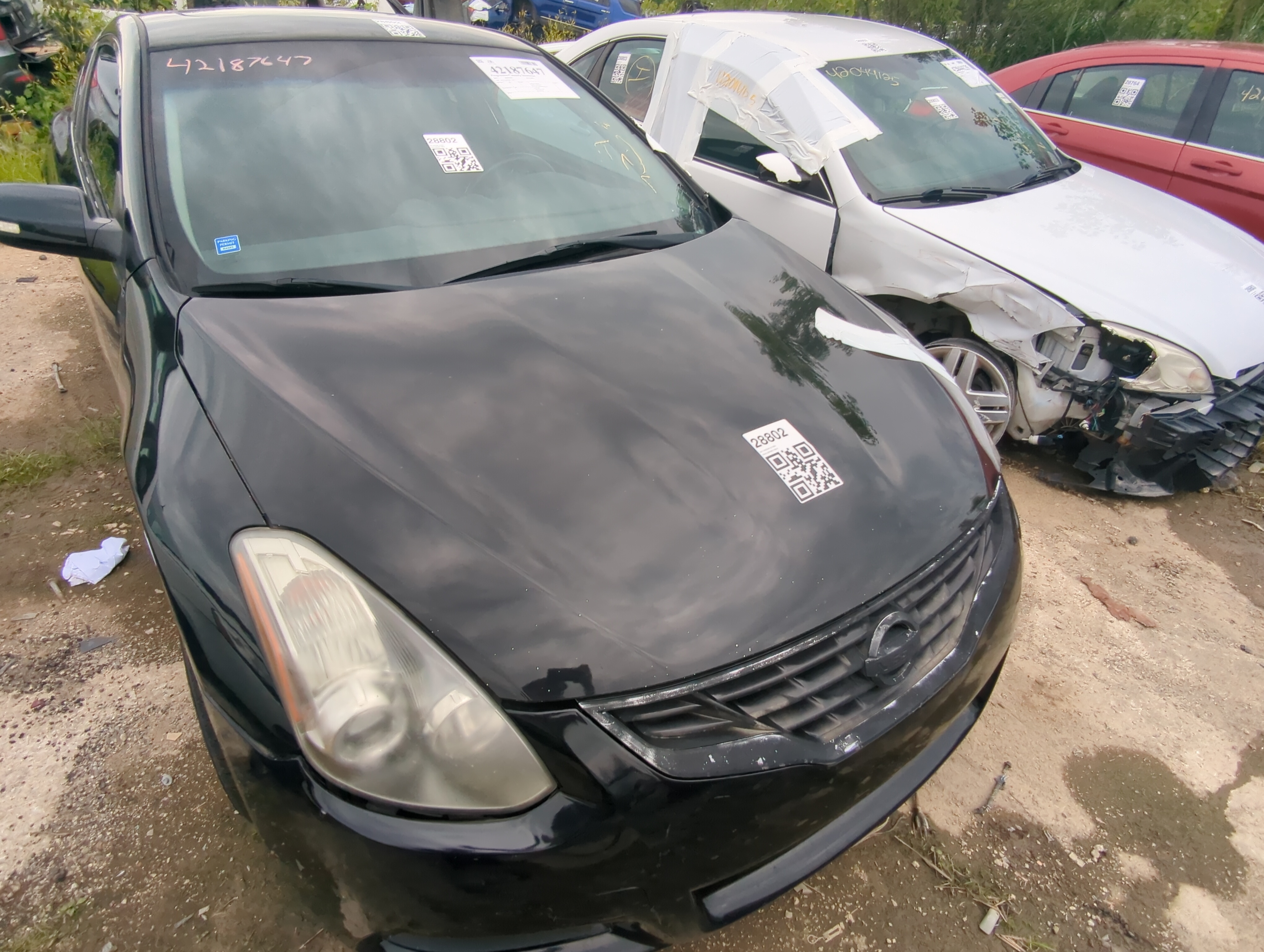 2010-2013 Nissan Altima Hood Oem 1069908 - Oemusedautoparts1.com