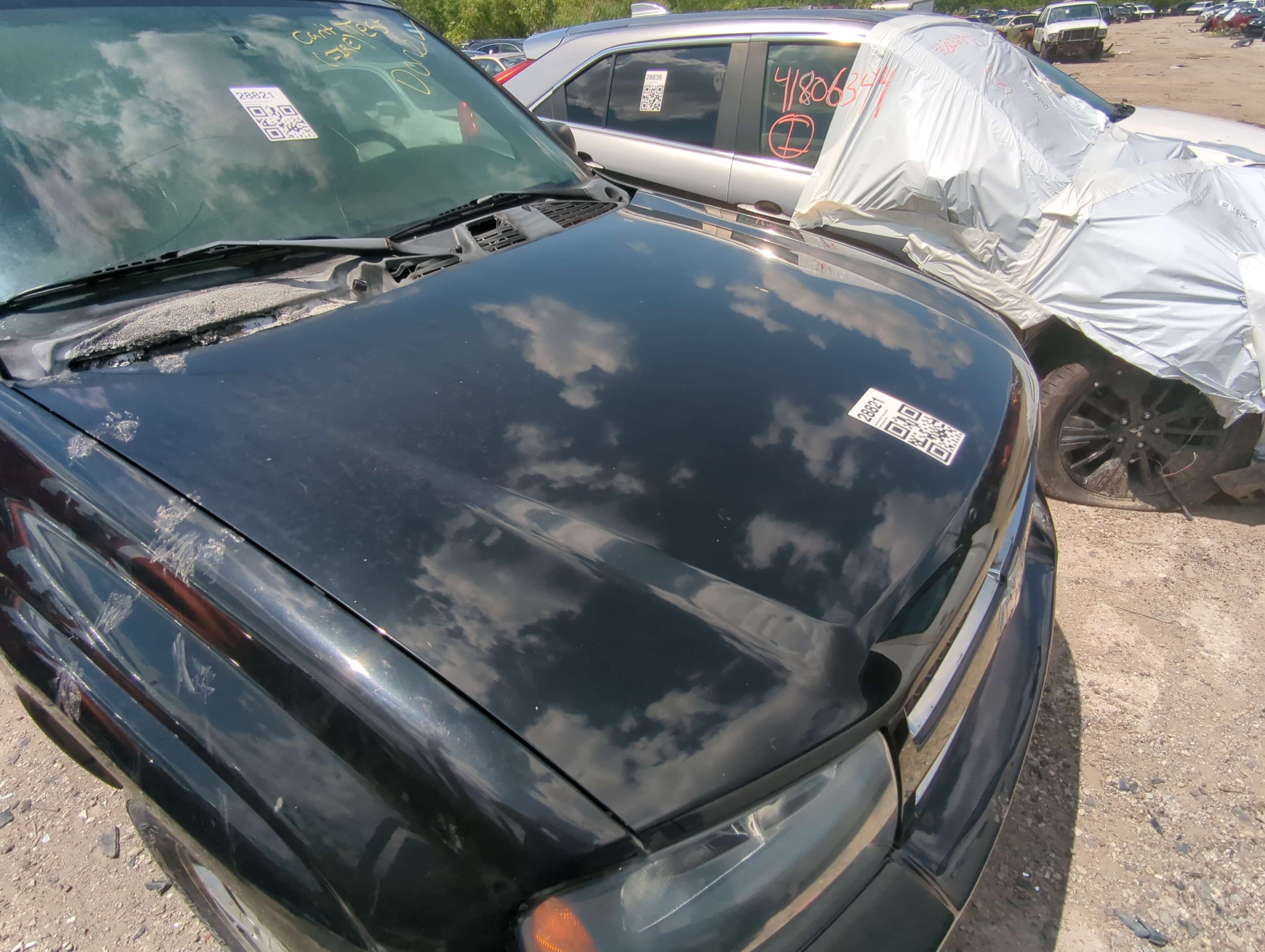 2002-2009 Chevrolet Trailblazer Hood Oem 1075982 - Oemusedautoparts1.com