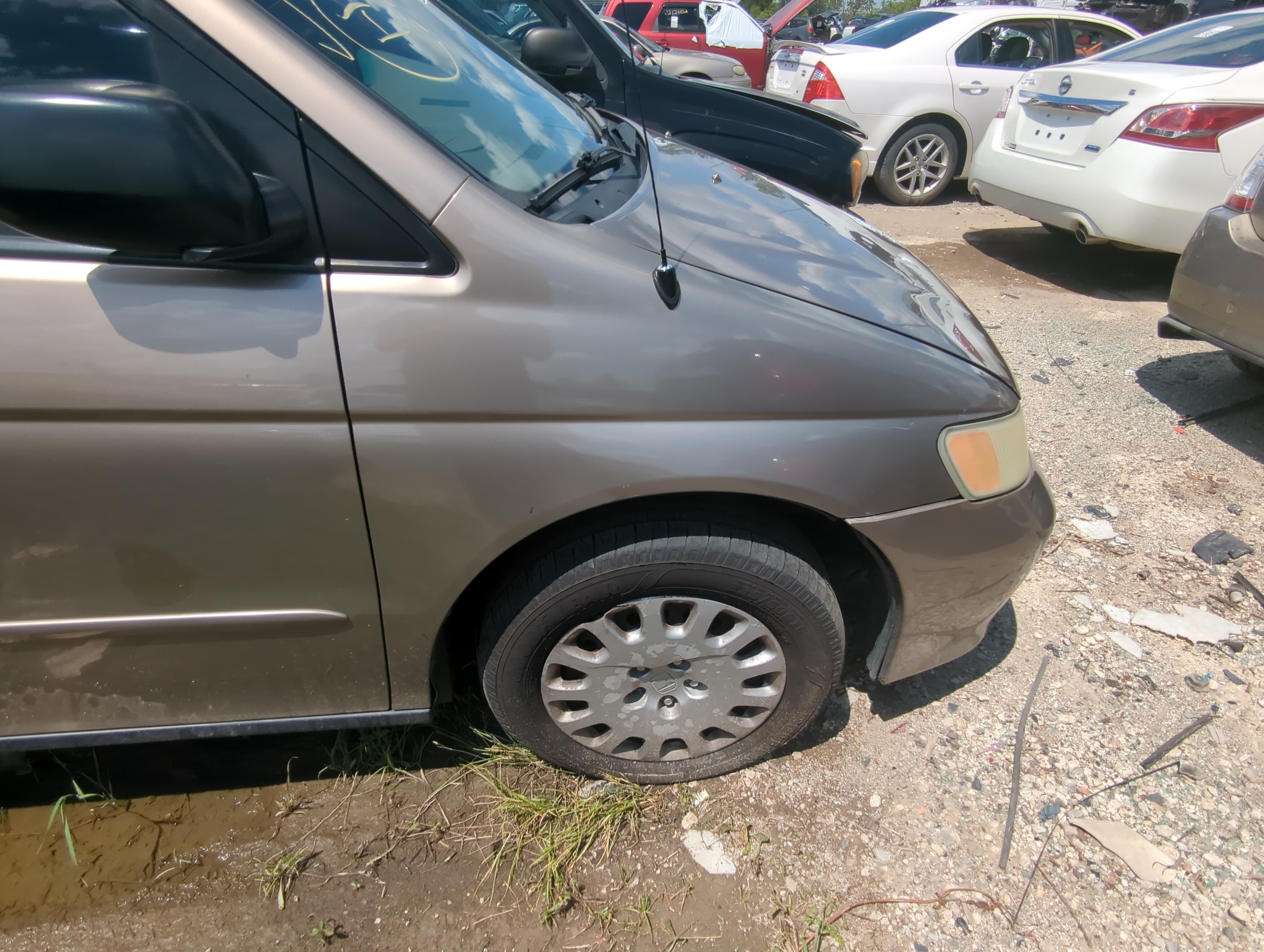 Picture of 1999-2004 Honda Odyssey Passenger Fender 1076247