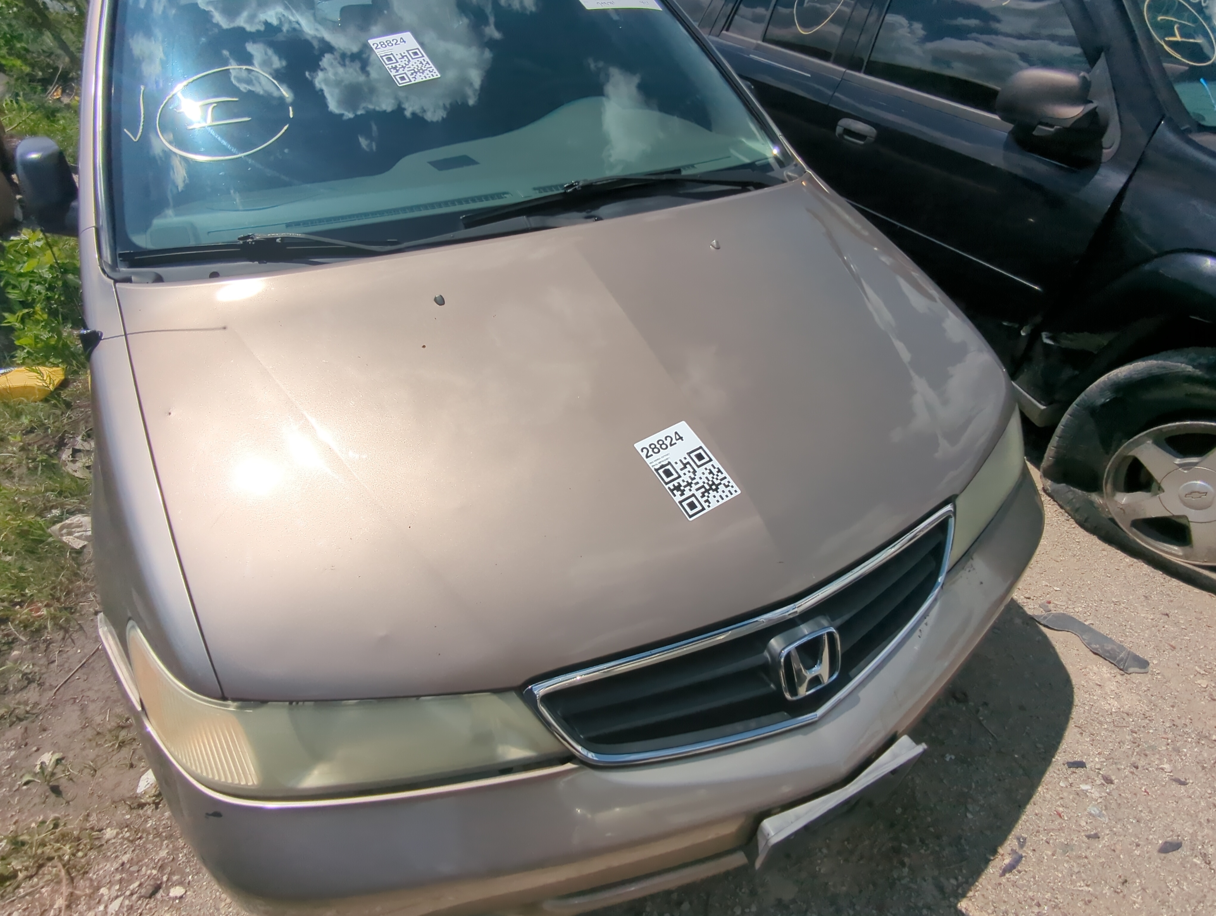 Picture of 1999-2004 Honda Odyssey Hood Oem 1076306