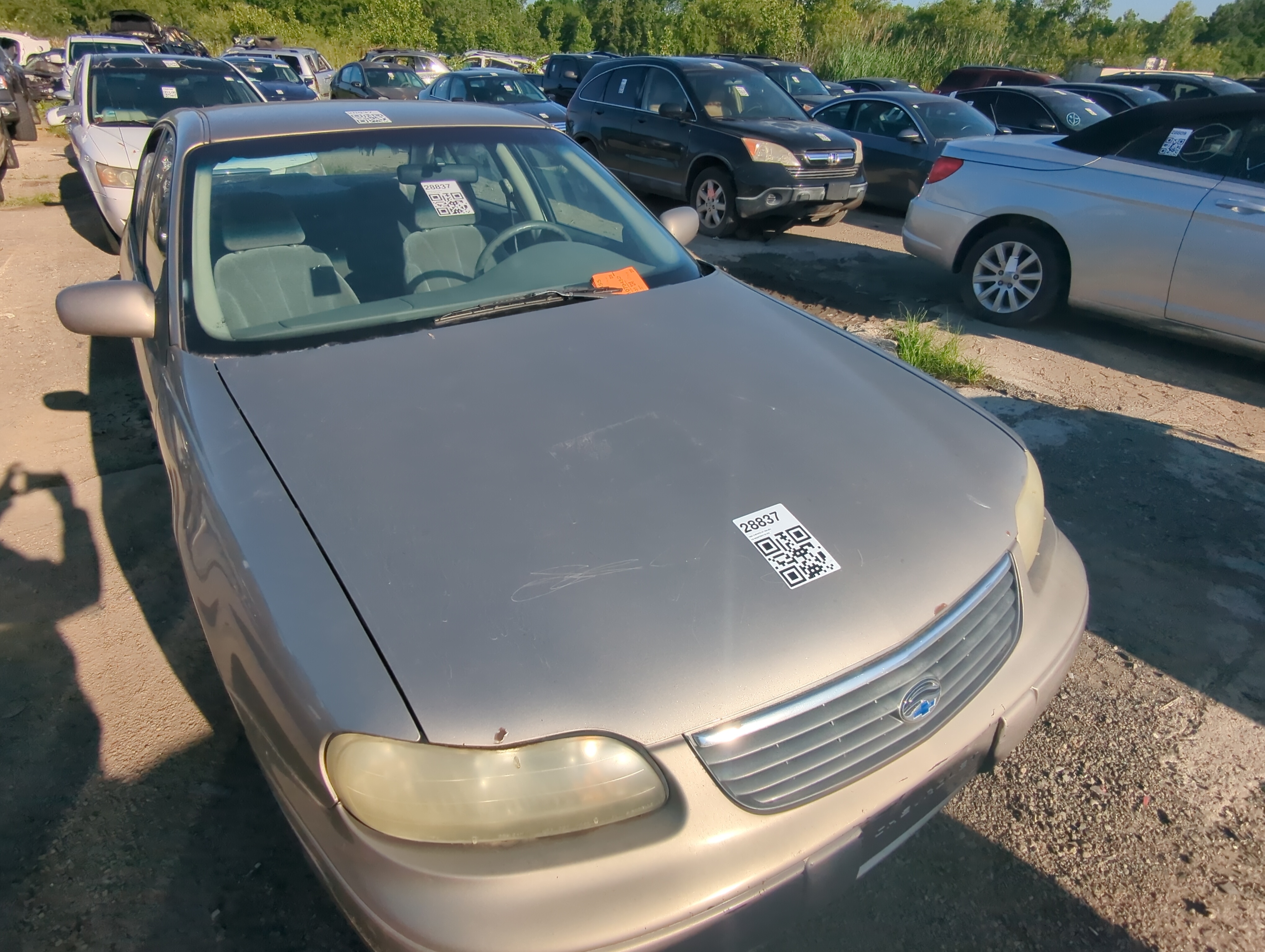 1997-2005 Chevrolet Malibu Hood Oem 1080077 - Oemusedautoparts1.com