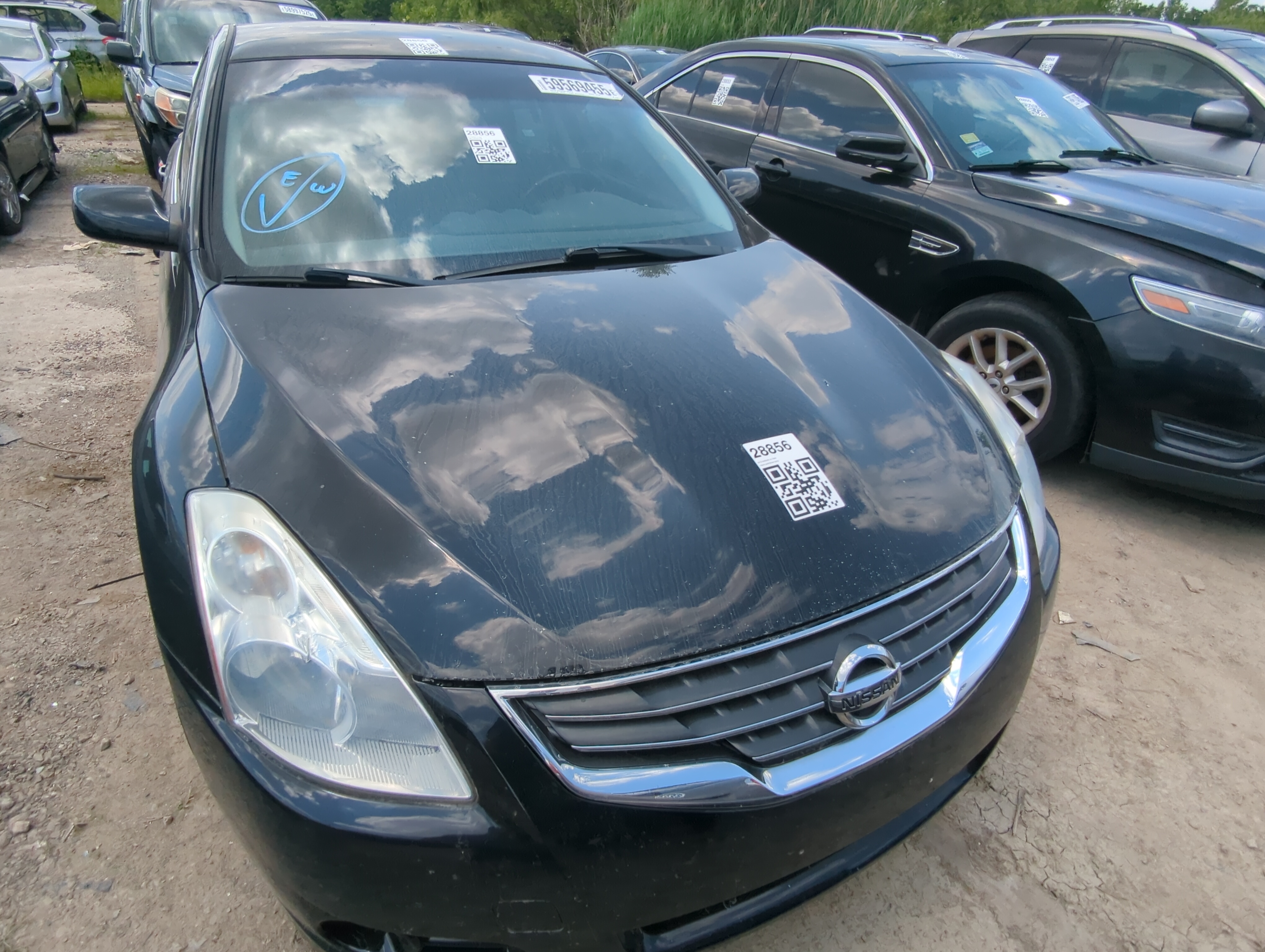 2010-2013 Nissan Altima Hood Oem 1081155 - Oemusedautoparts1.com