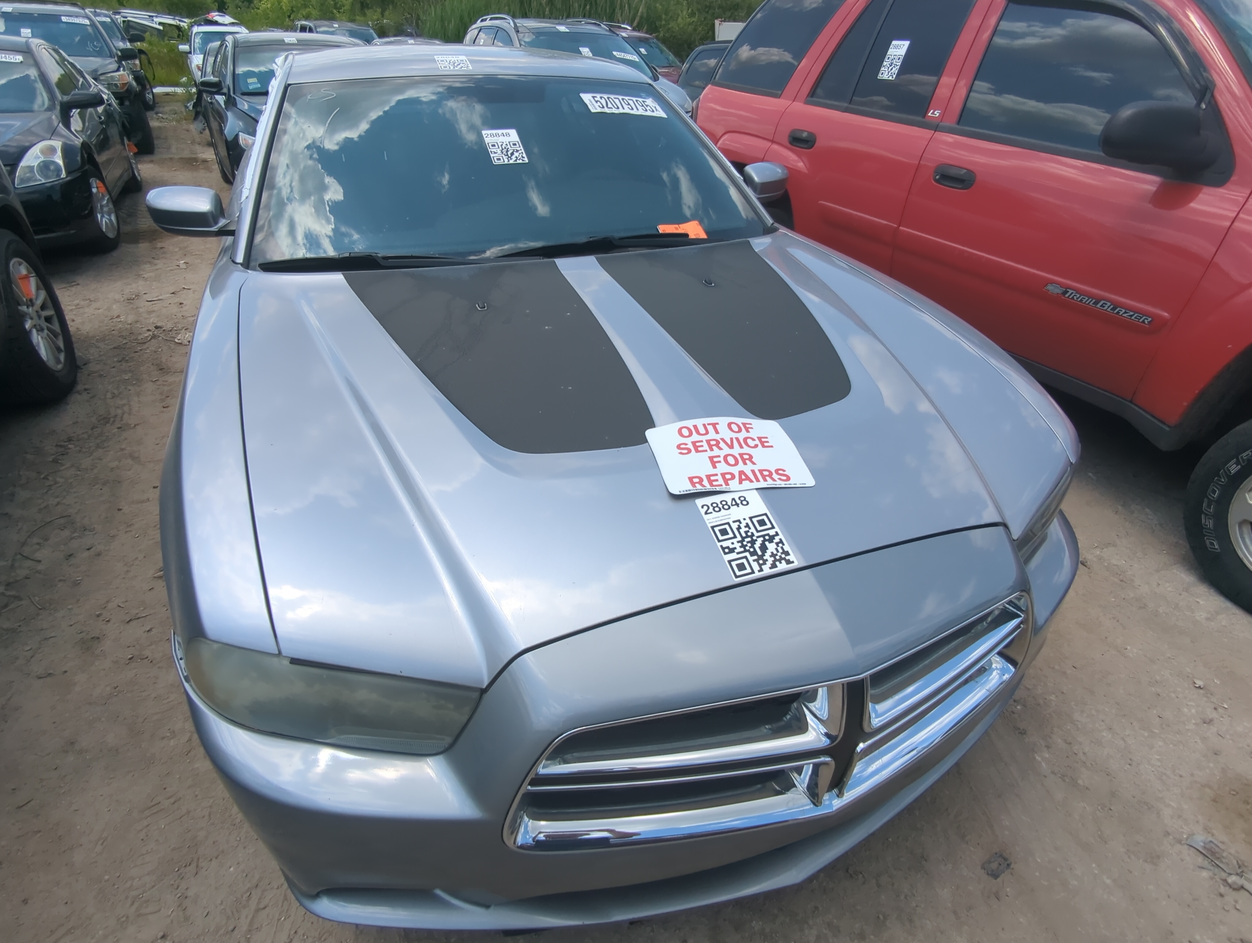 2011-2014 Dodge Charger Hood Oem 1081587 - Oemusedautoparts1.com