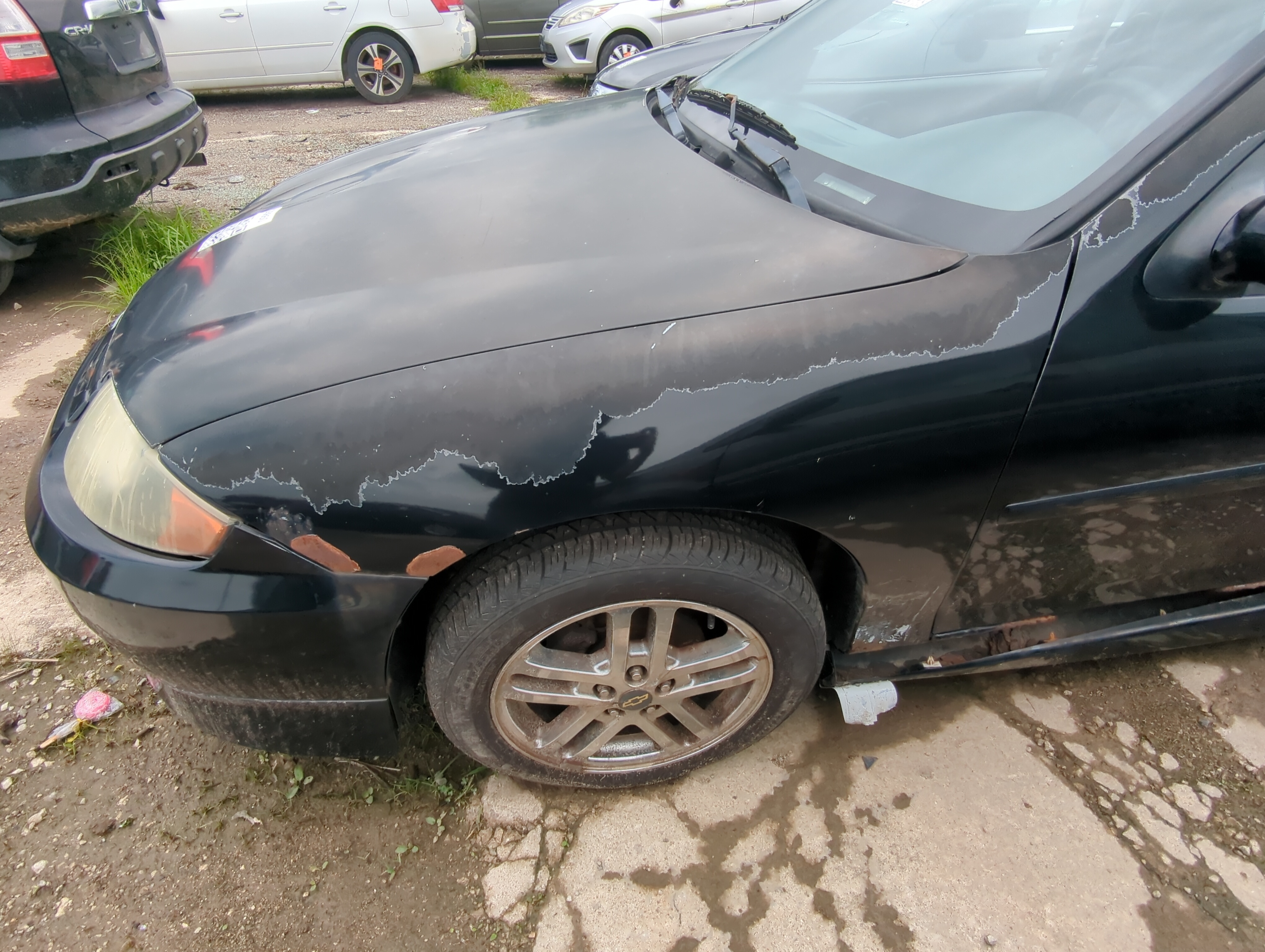 Picture of 2003-2005 Chevrolet Cavalier Driver Fender 1083851