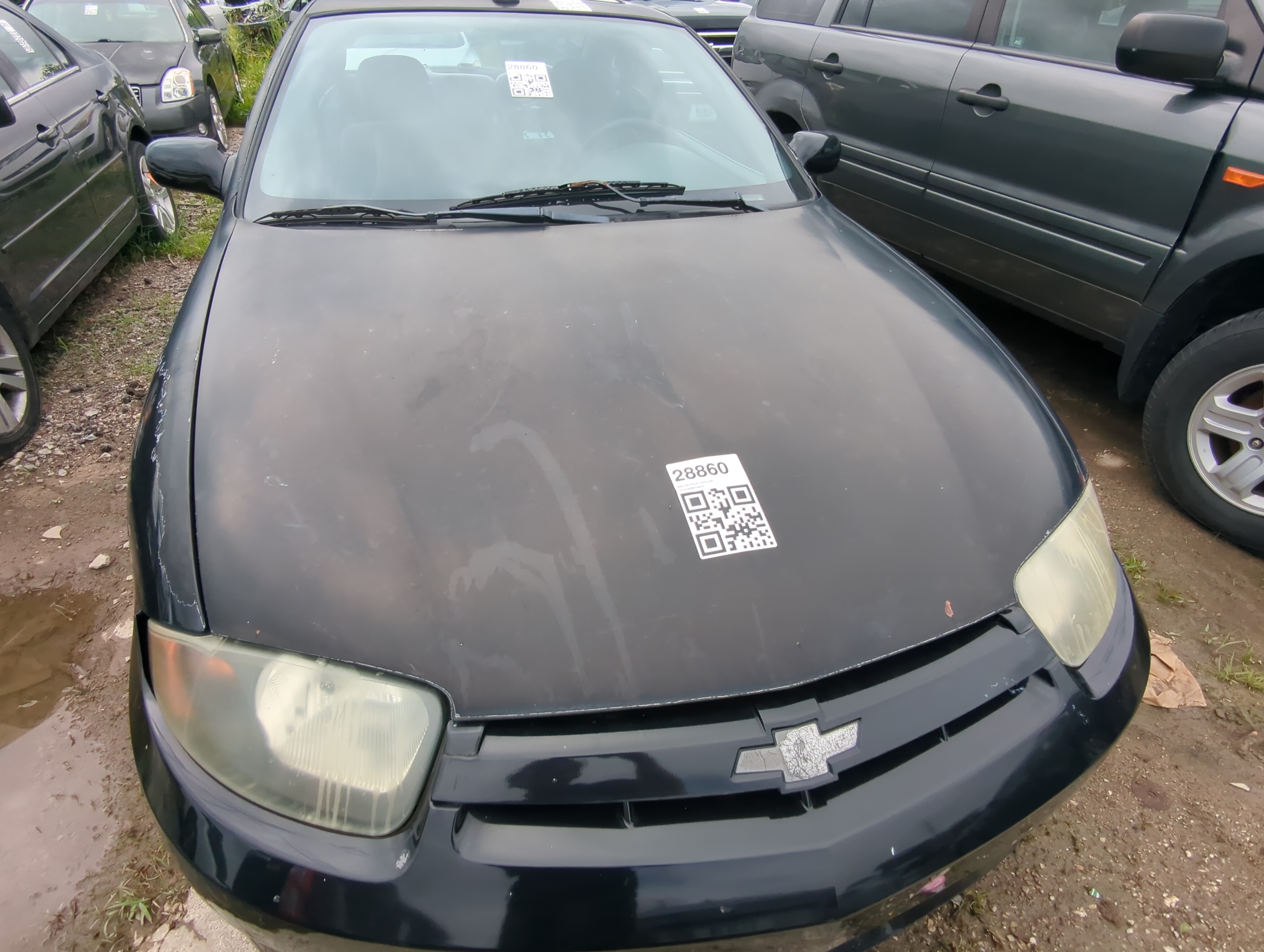 2003-2005 Chevrolet Cavalier Hood Oem 1083896 - Oemusedautoparts1.com