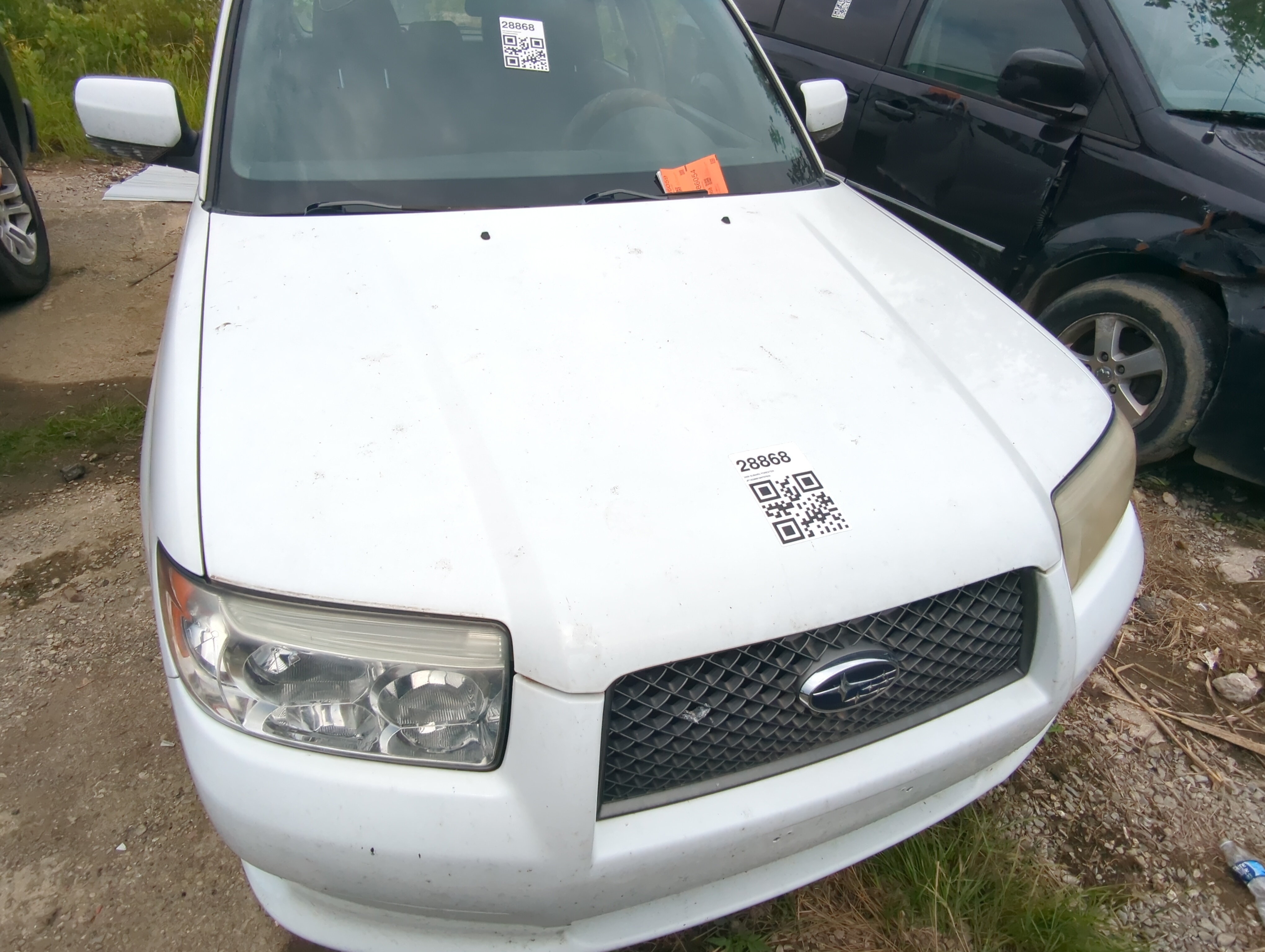 2008 Subaru Forester Hood Oem 1089117 - Oemusedautoparts1.com