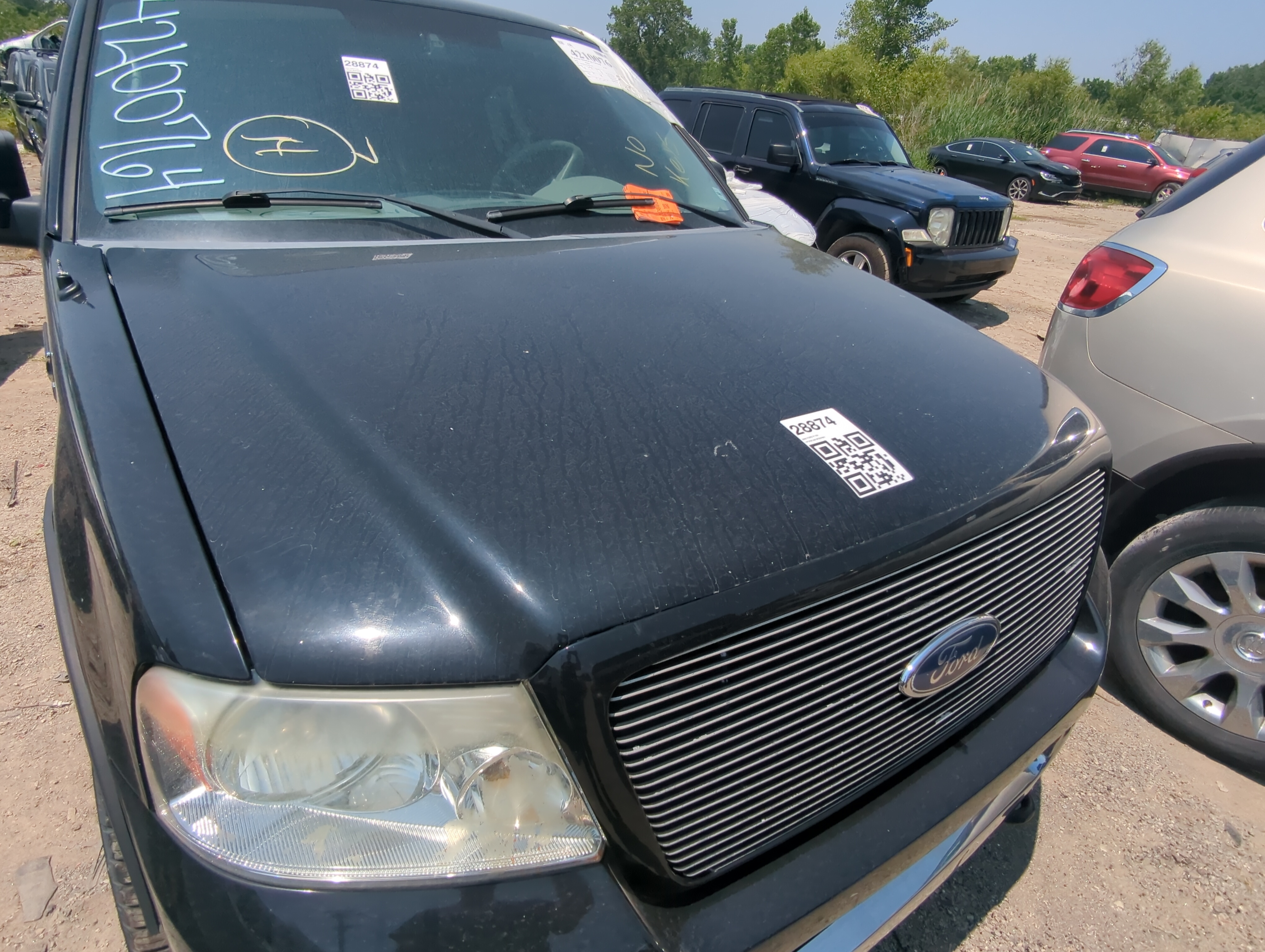 2004-2008 Ford F-150 Hood Oem 1091569 - Oemusedautoparts1.com