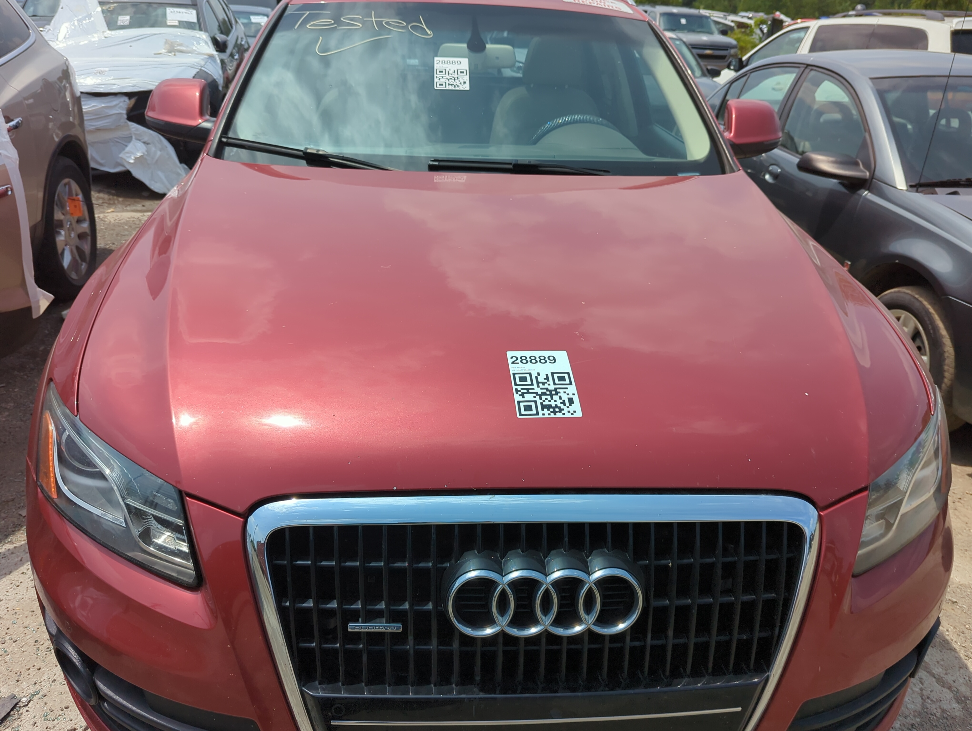 2009-2012 Audi Q5 Hood Oem 1097703 - Oemusedautoparts1.com