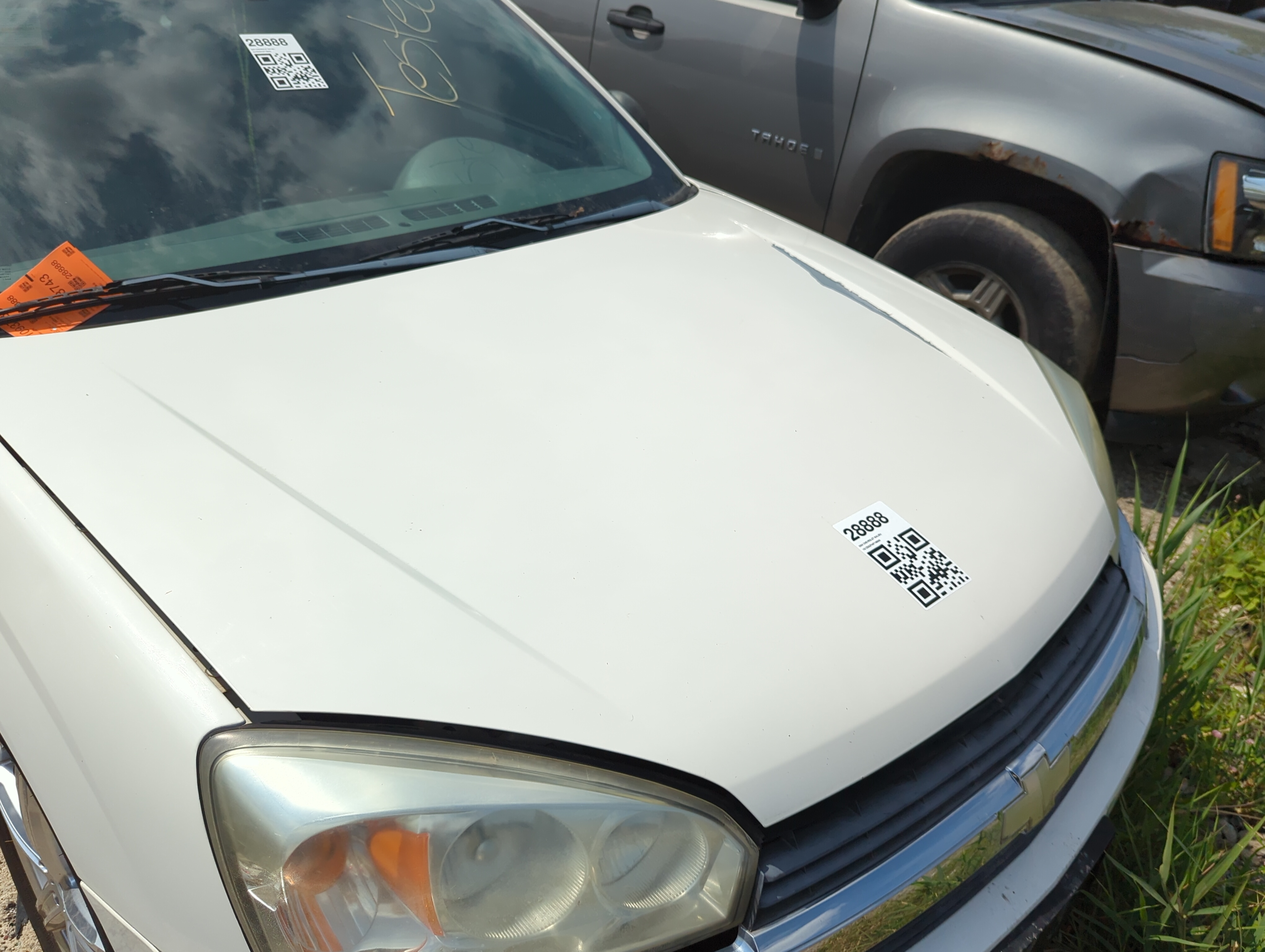 2004-2008 Chevrolet Malibu Hood Oem 1098244 - Oemusedautoparts1.com