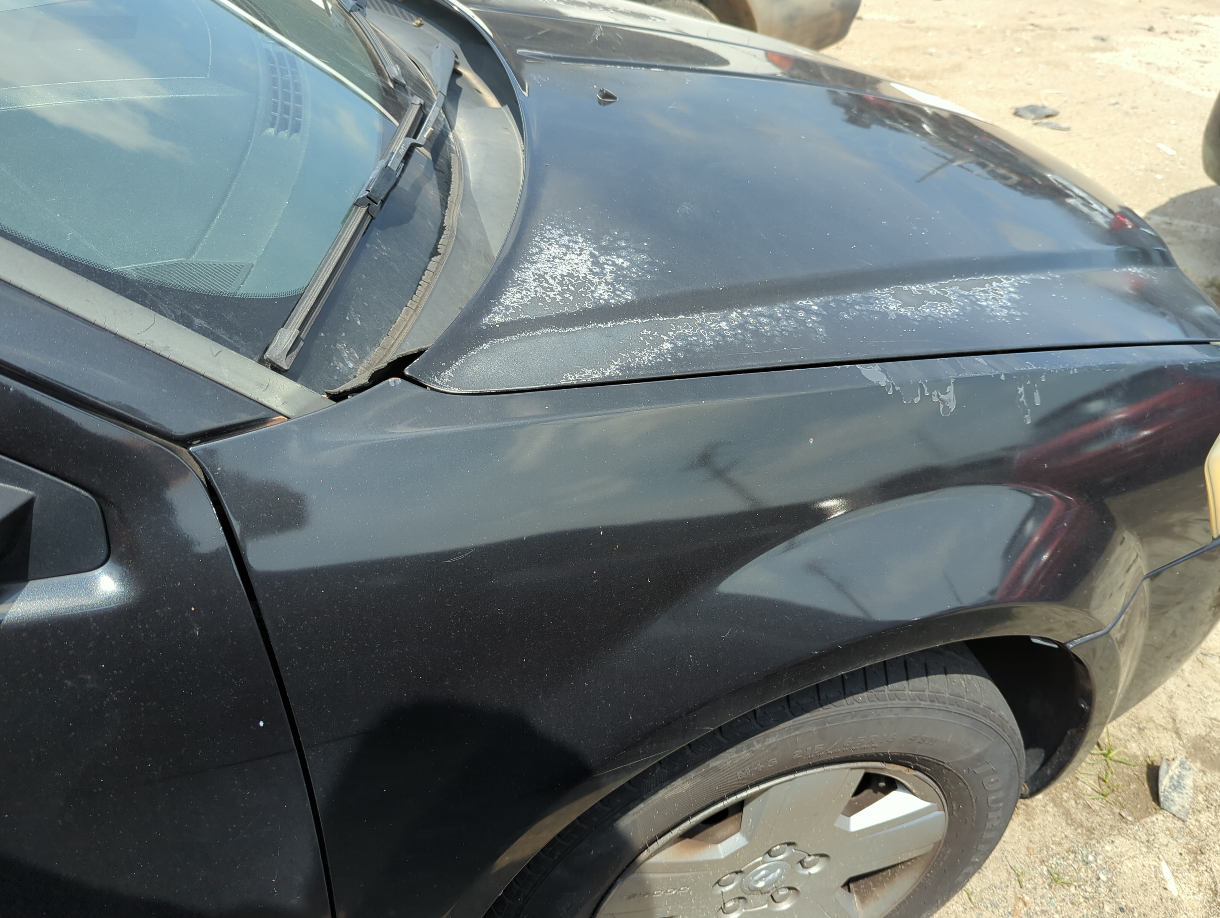 Picture of 2008-2010 Dodge Avenger Passenger Fender 1098665