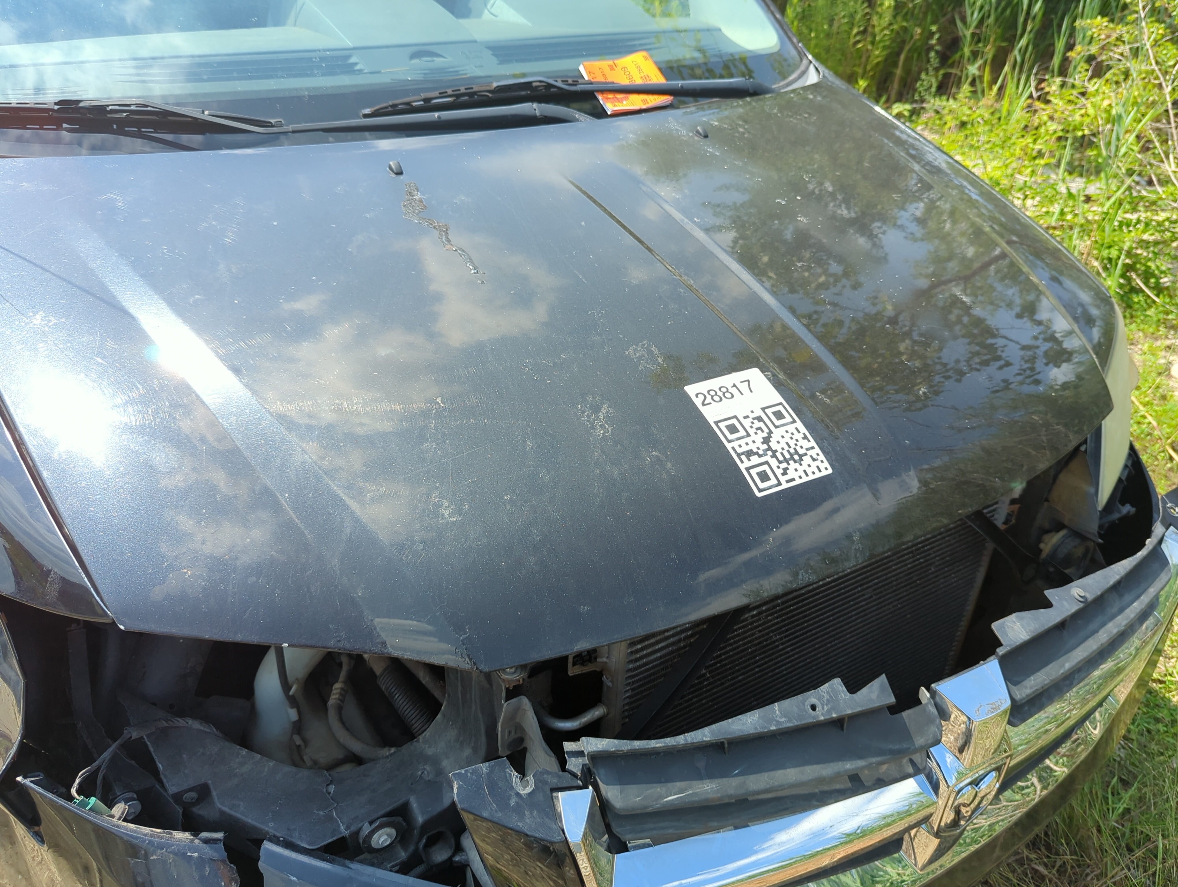 Picture of 2008-2010 Dodge Grand Caravan Hood Oem 1099261