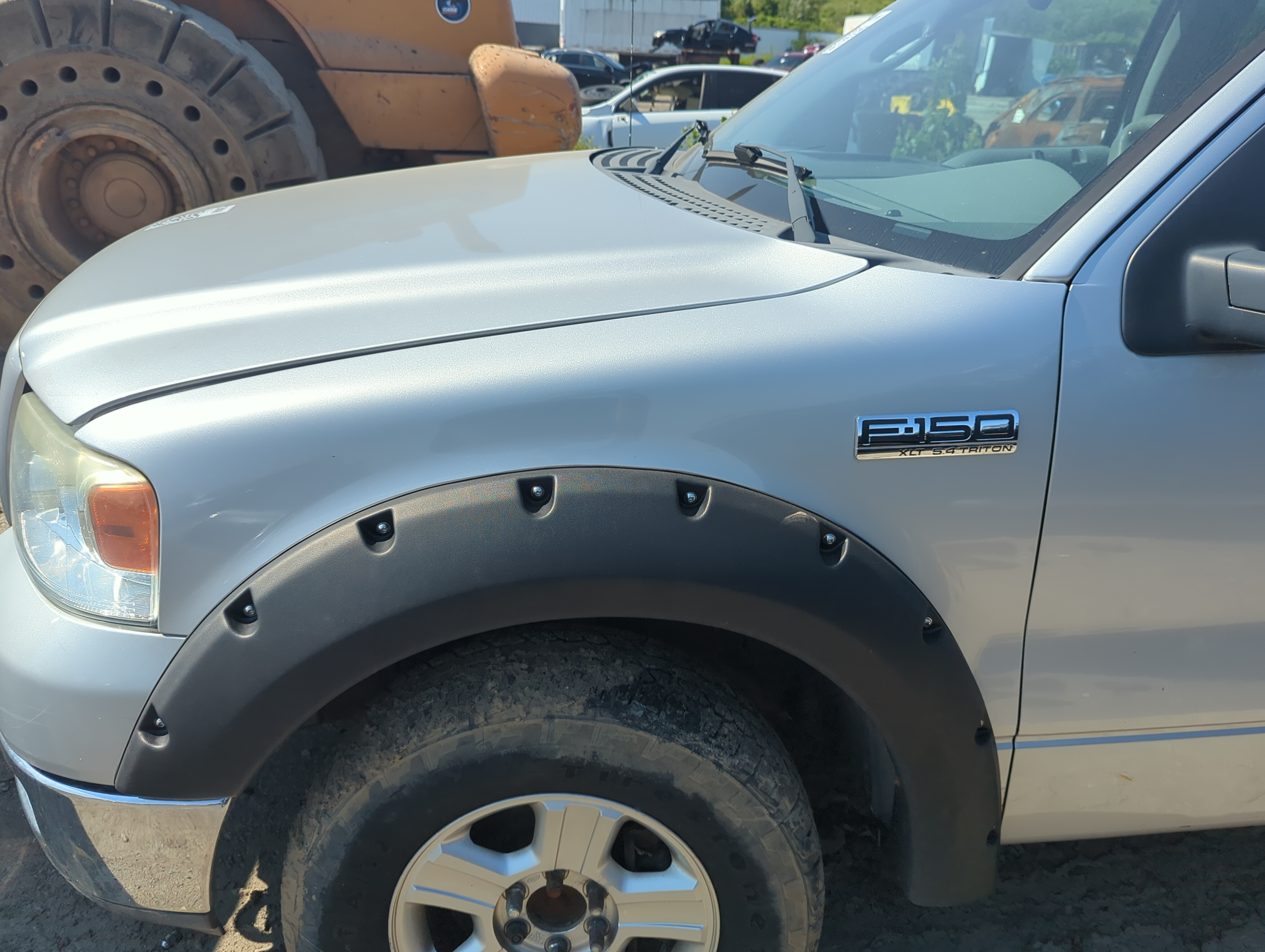 Picture of 2004-2008 Ford F-150 Driver Fender 1100299