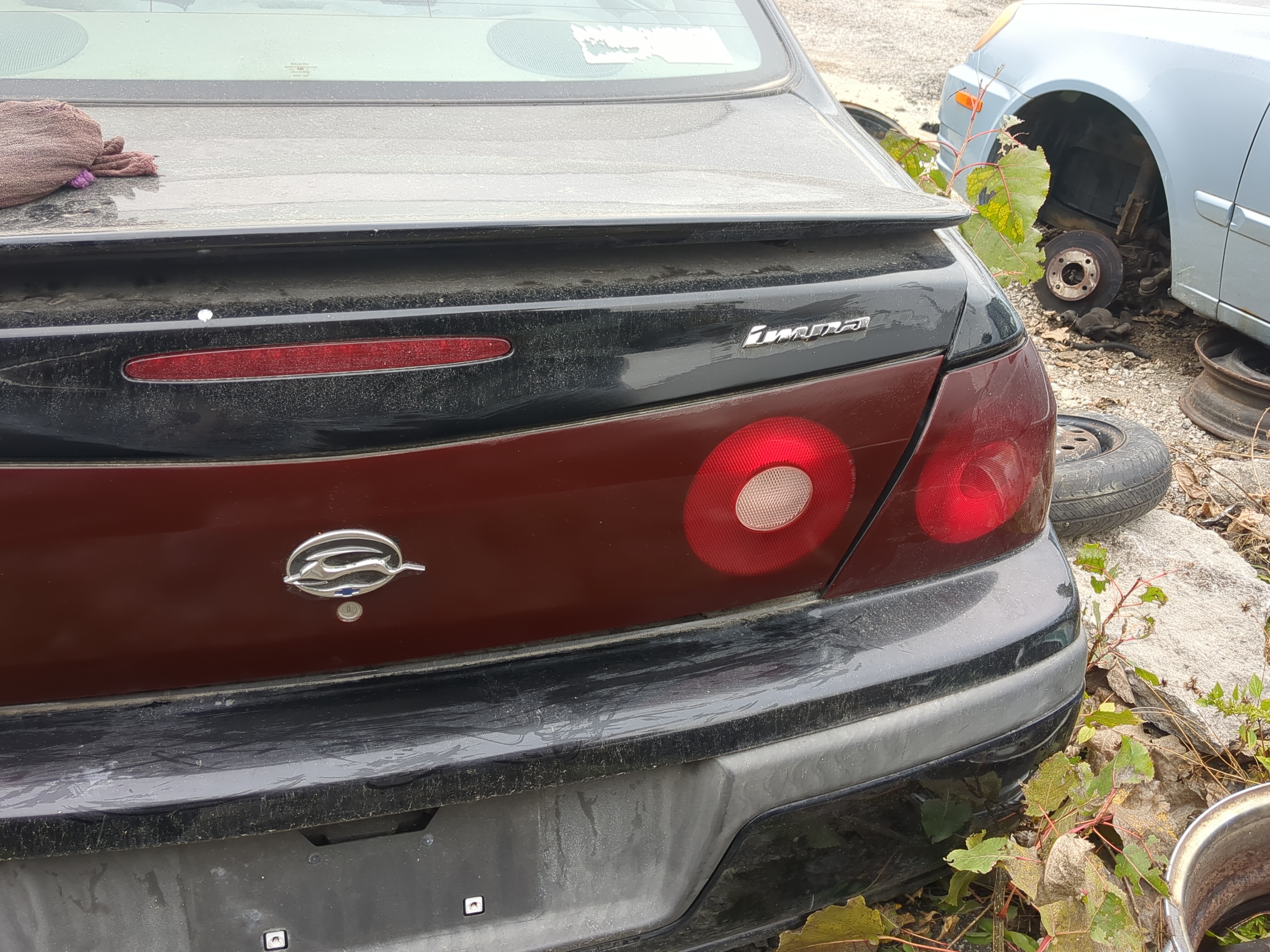 Picture of Tail Lights 2003 CHEVROLET IMPALA