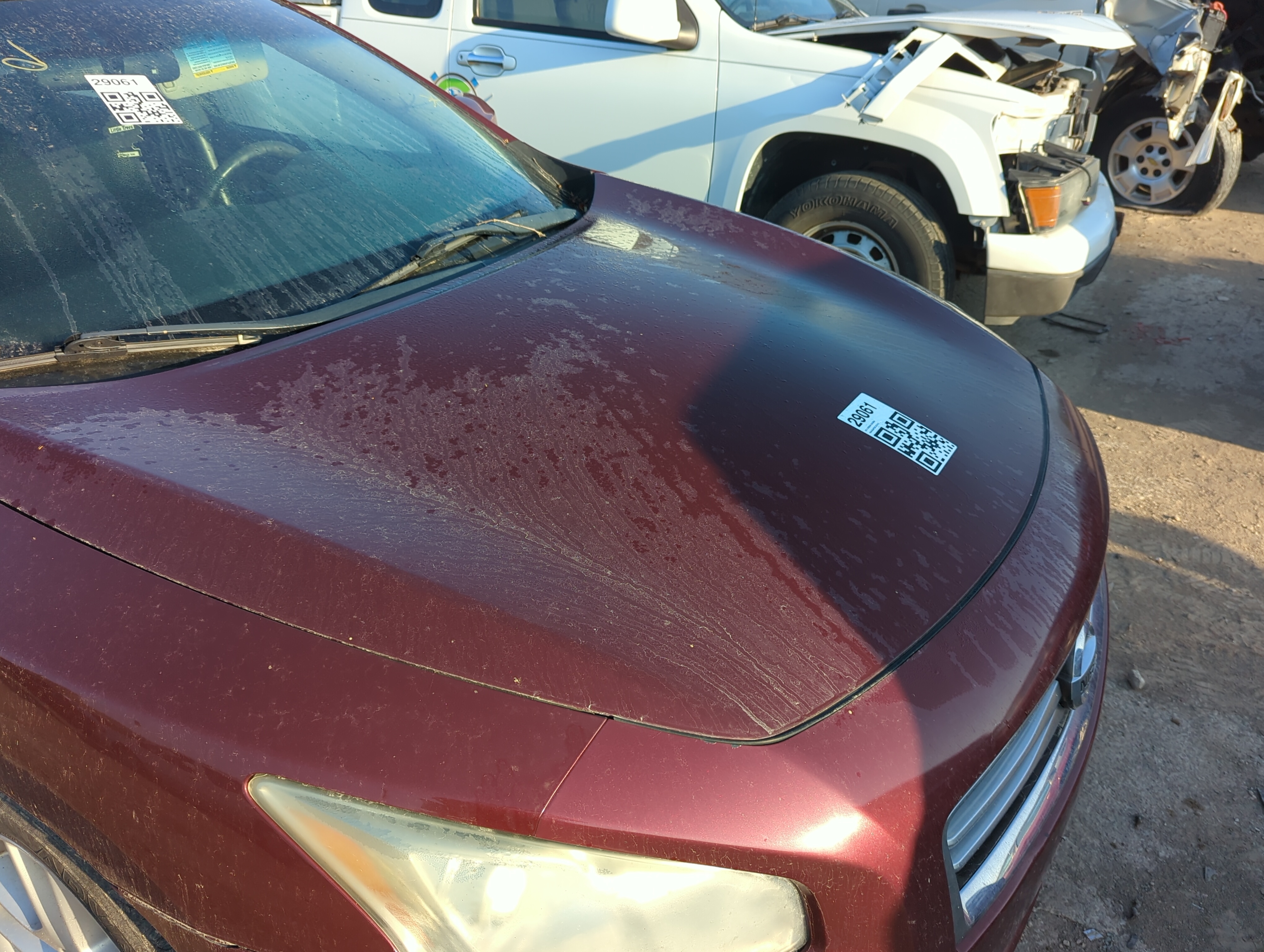 2009-2014 Nissan Maxima Hood Oem 1154100 - Oemusedautoparts1.com