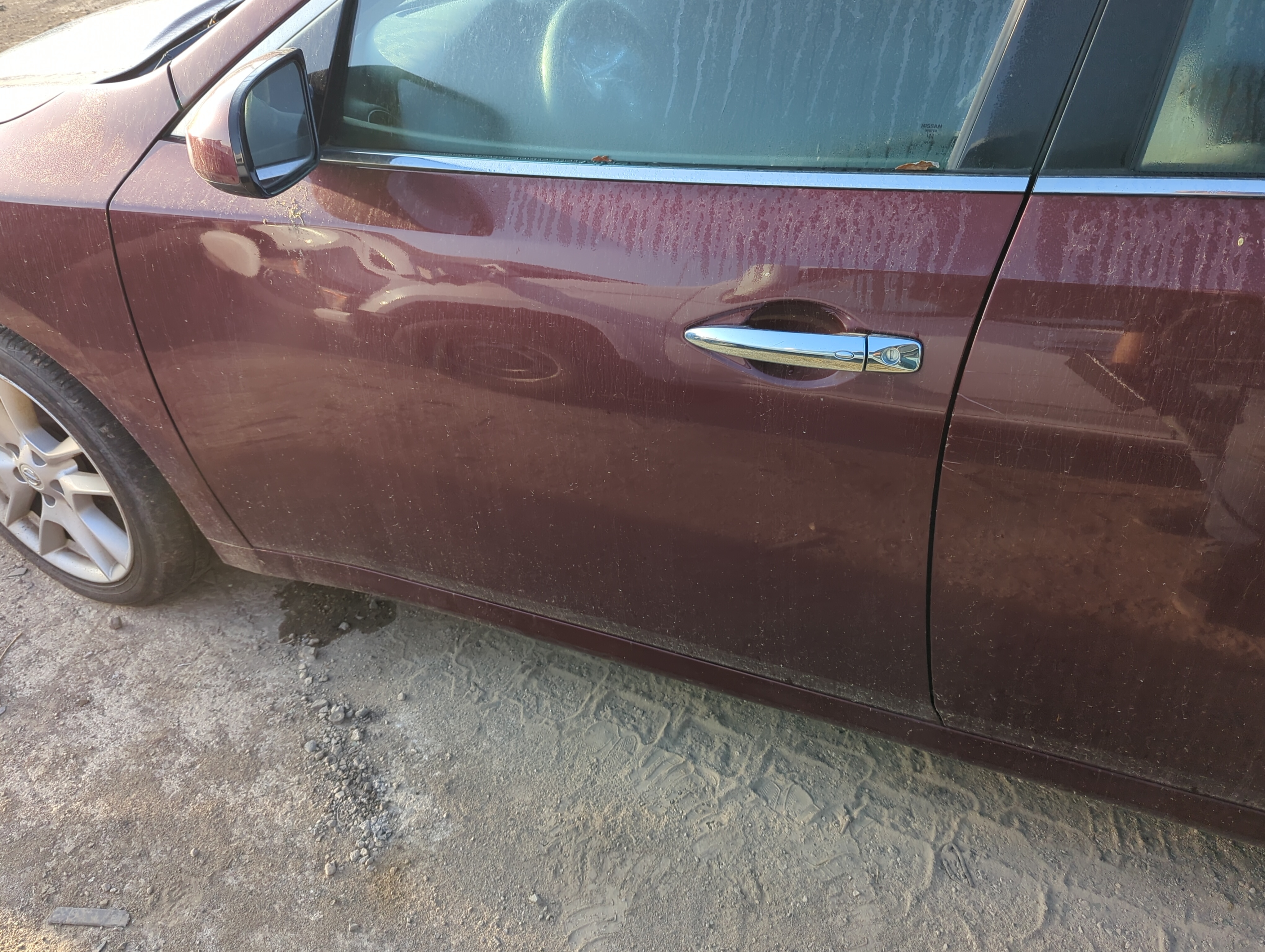 2009-2014 Nissan Maxima Driver Front Door Oem 1154123 - Oemusedautoparts1.com