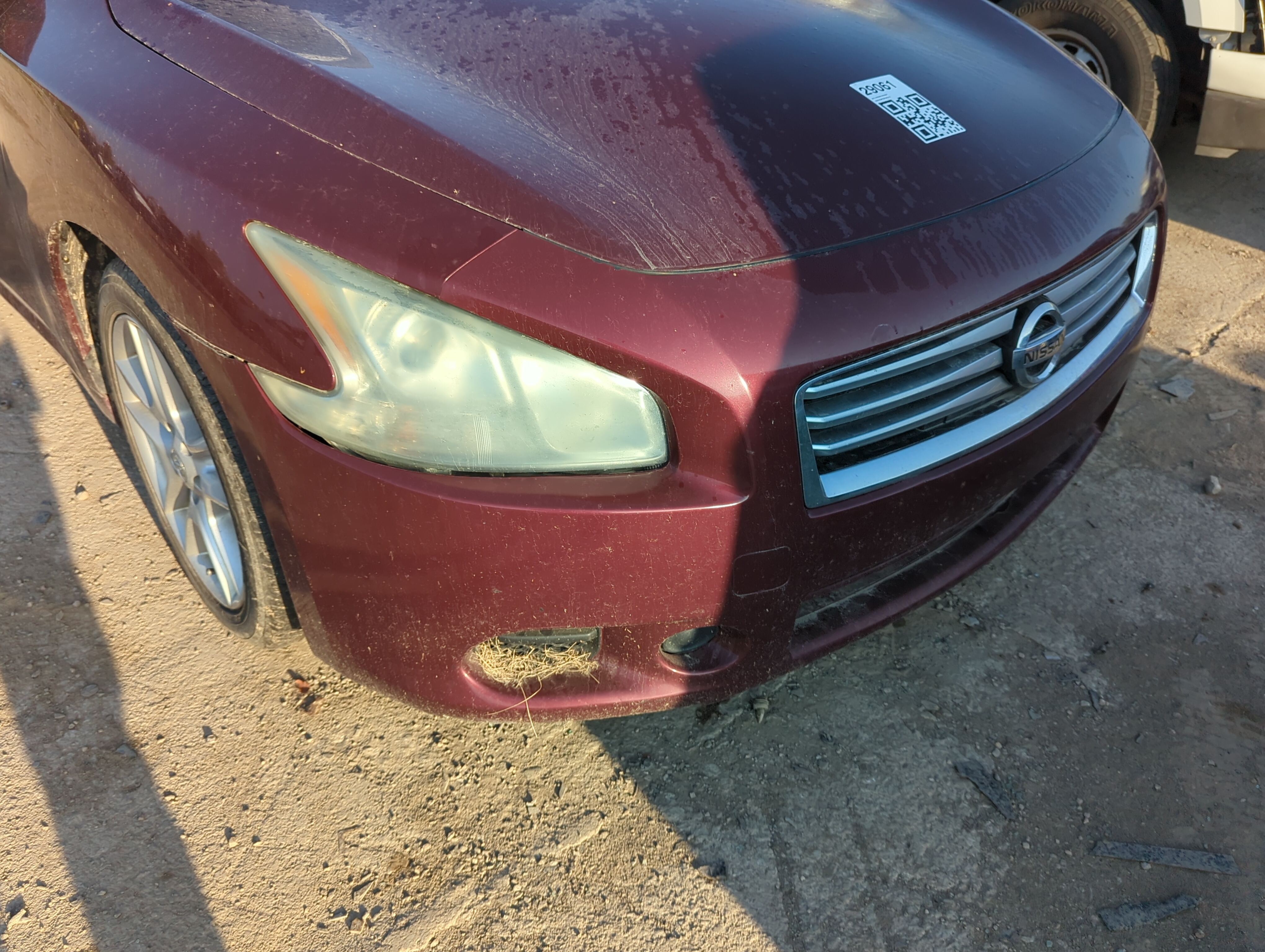 2009-2014 Nissan Maxima Front Bumper - Oem 1154180 - Oemusedautoparts1.com