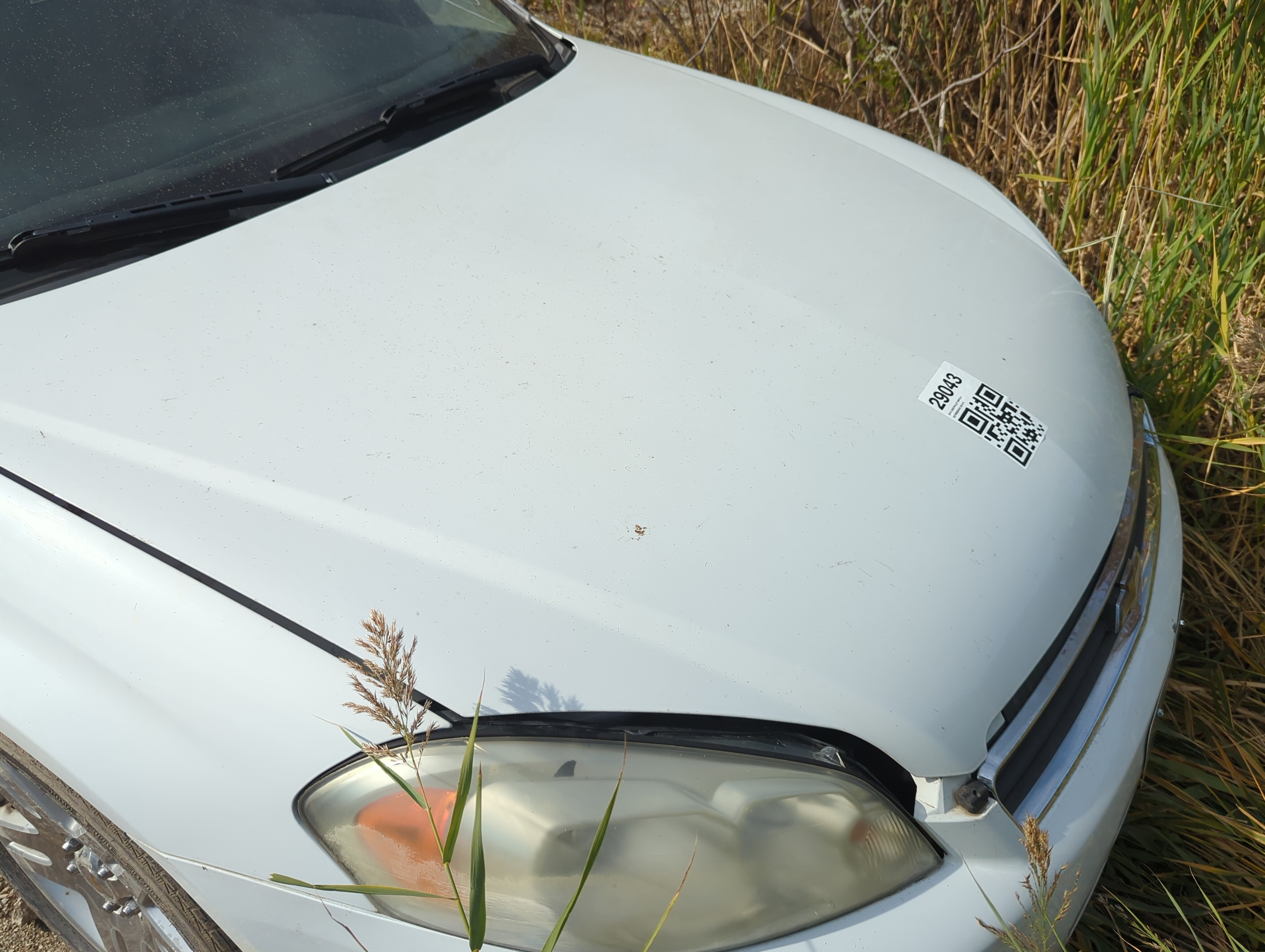 2006-2016 Chevrolet Impala Hood Oem 1156802 - Oemusedautoparts1.com