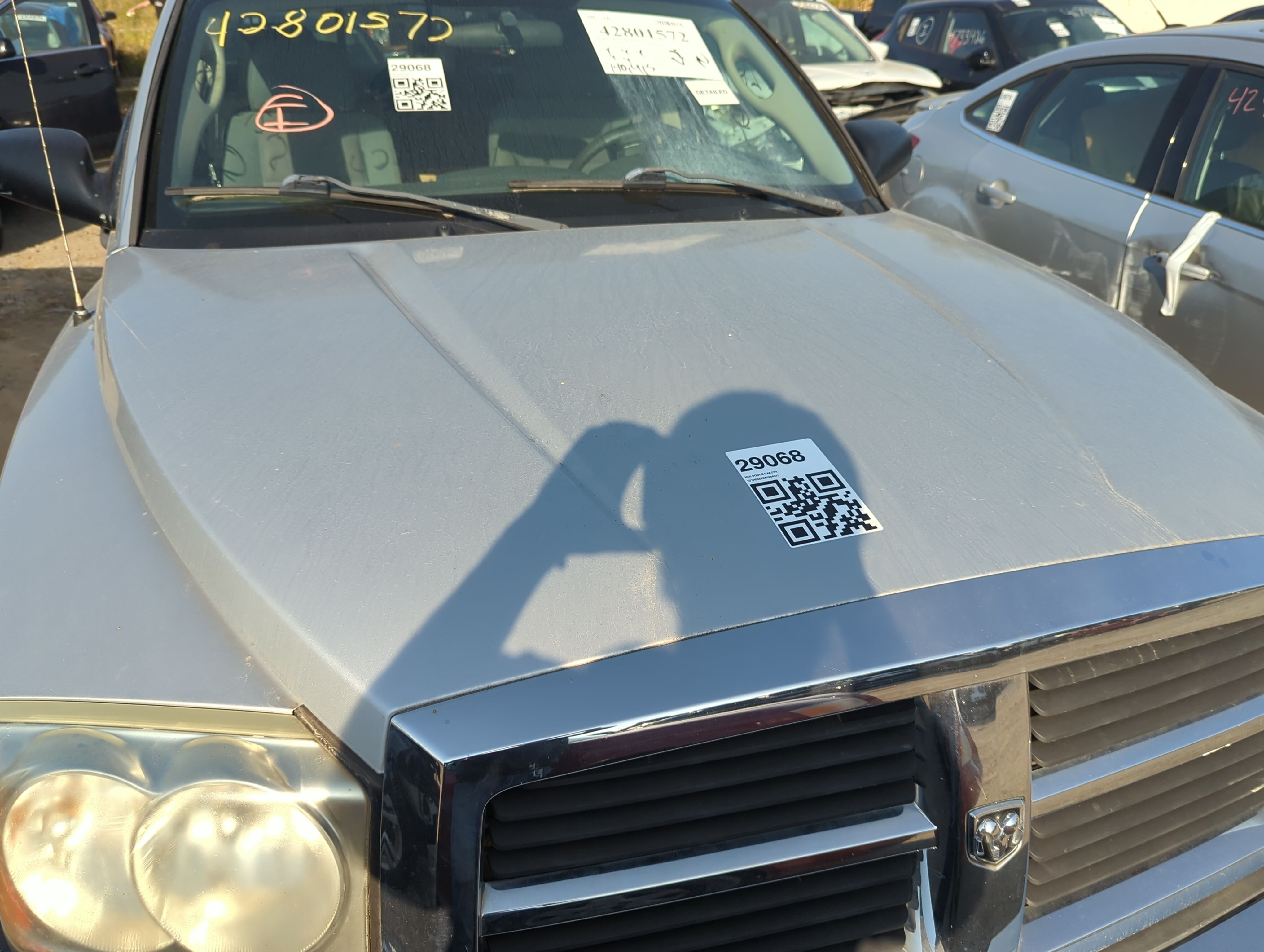 2005-2007 Dodge Dakota Hood Oem 1160753 - Oemusedautoparts1.com