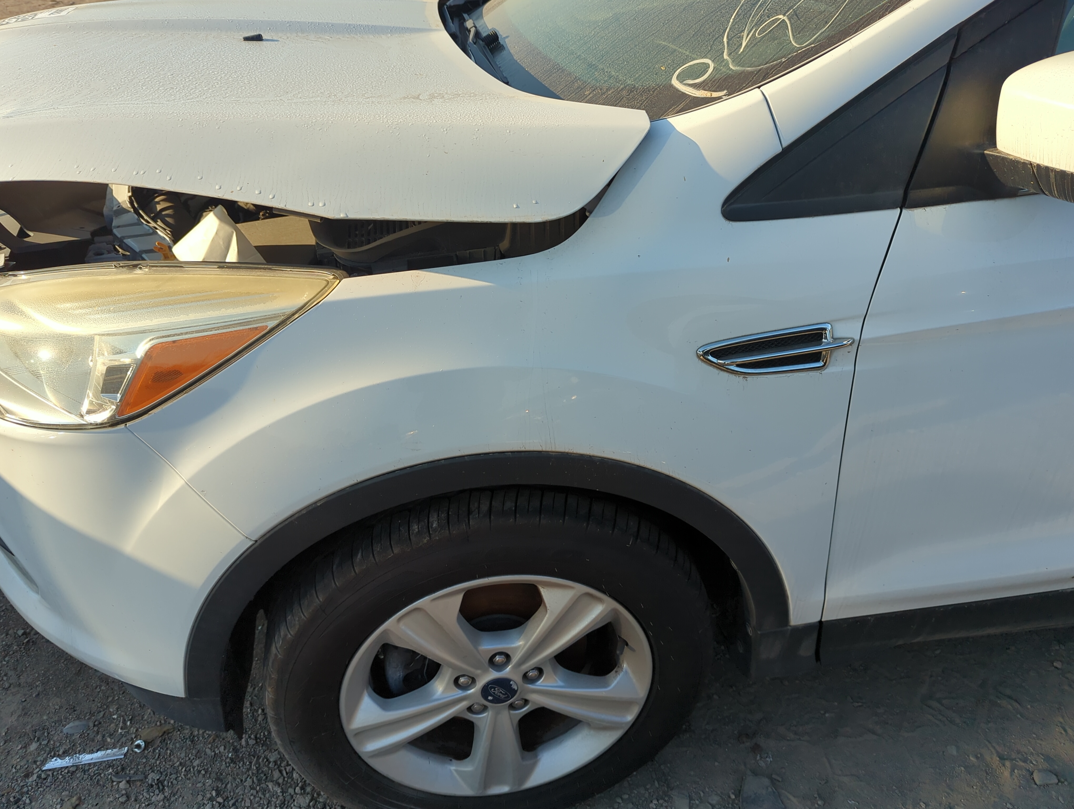Picture of 2014 Ford Escape Driver Fender 1163741