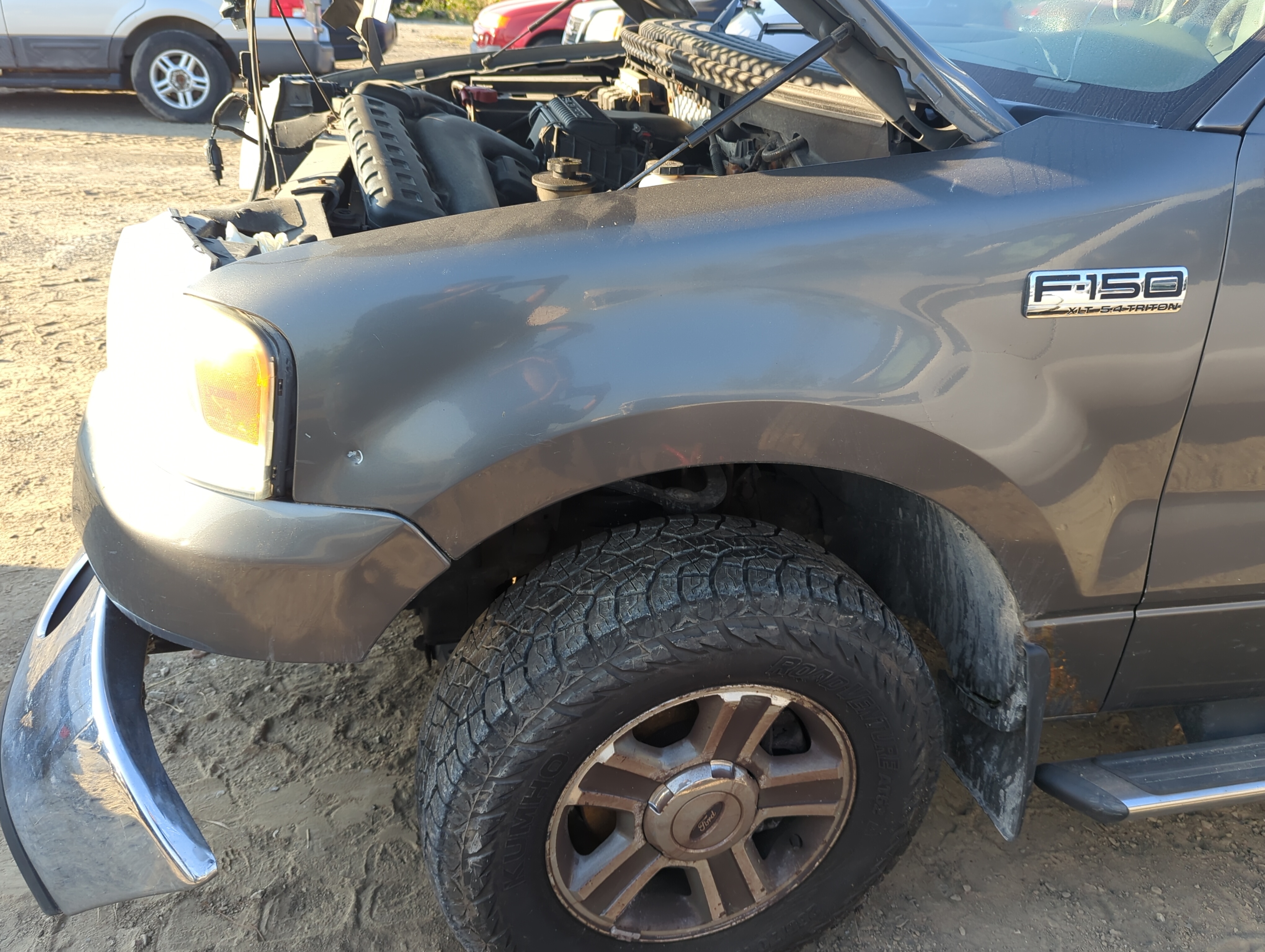 Picture of 2004-2008 Ford F-150 Driver Fender 1163889