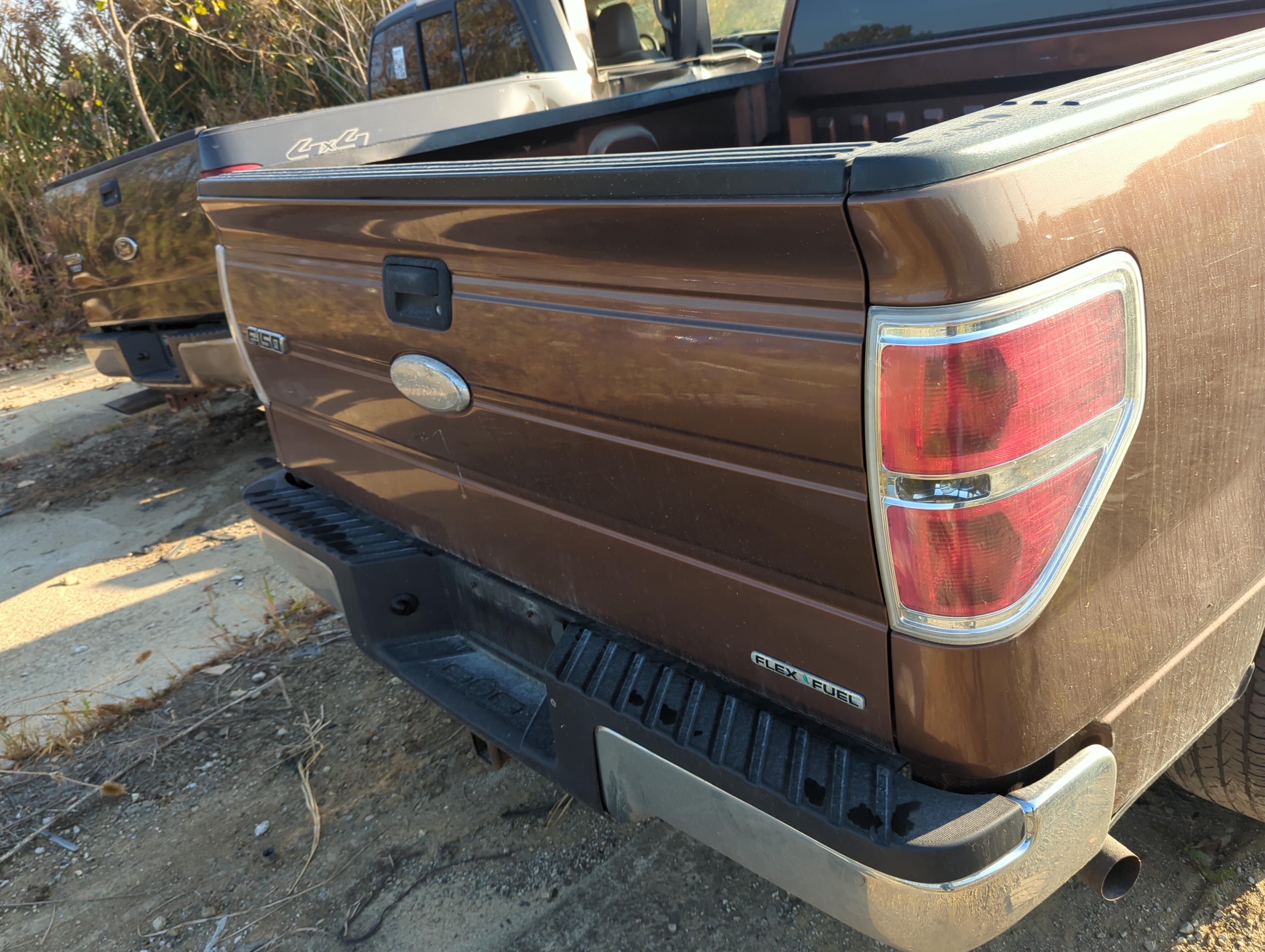 2009-2014 Ford F-150 Trunk/decklid/hatch/tailgate Oem 1164135 - Oemusedautoparts1.com
