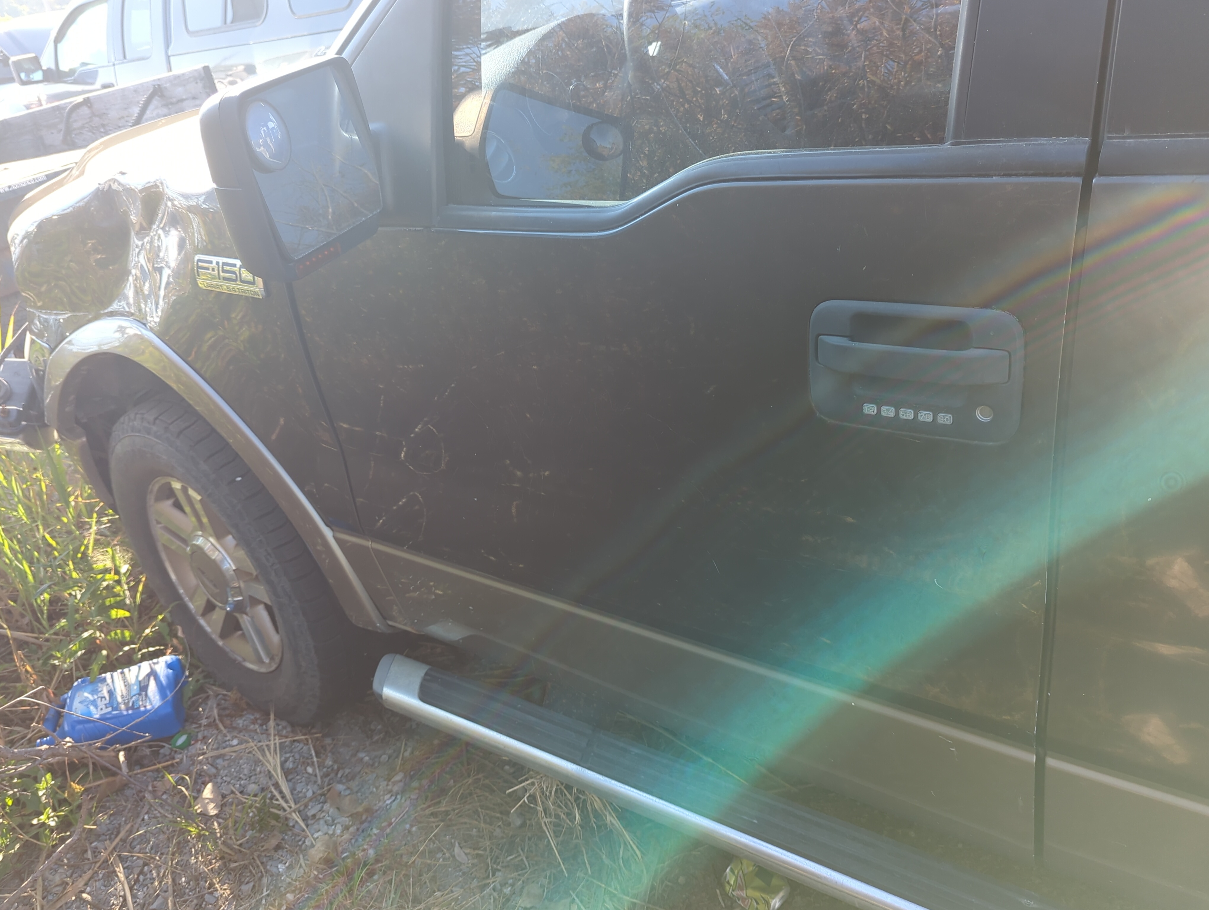 2004-2008 Ford F-150 Driver Front Door Oem 1164615 - Oemusedautoparts1.com