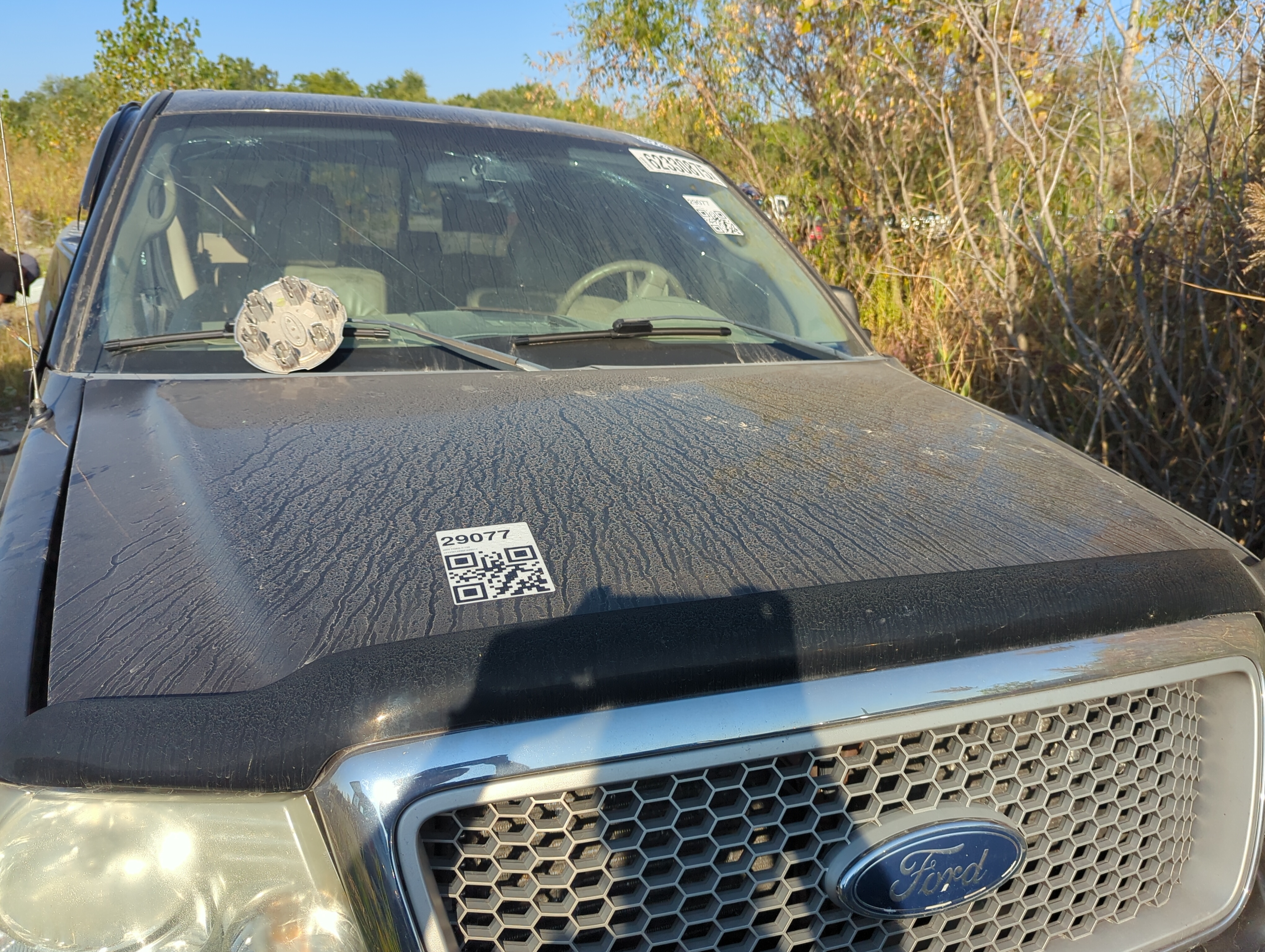 2004-2008 Ford F-150 Hood Oem 1164643 - Oemusedautoparts1.com